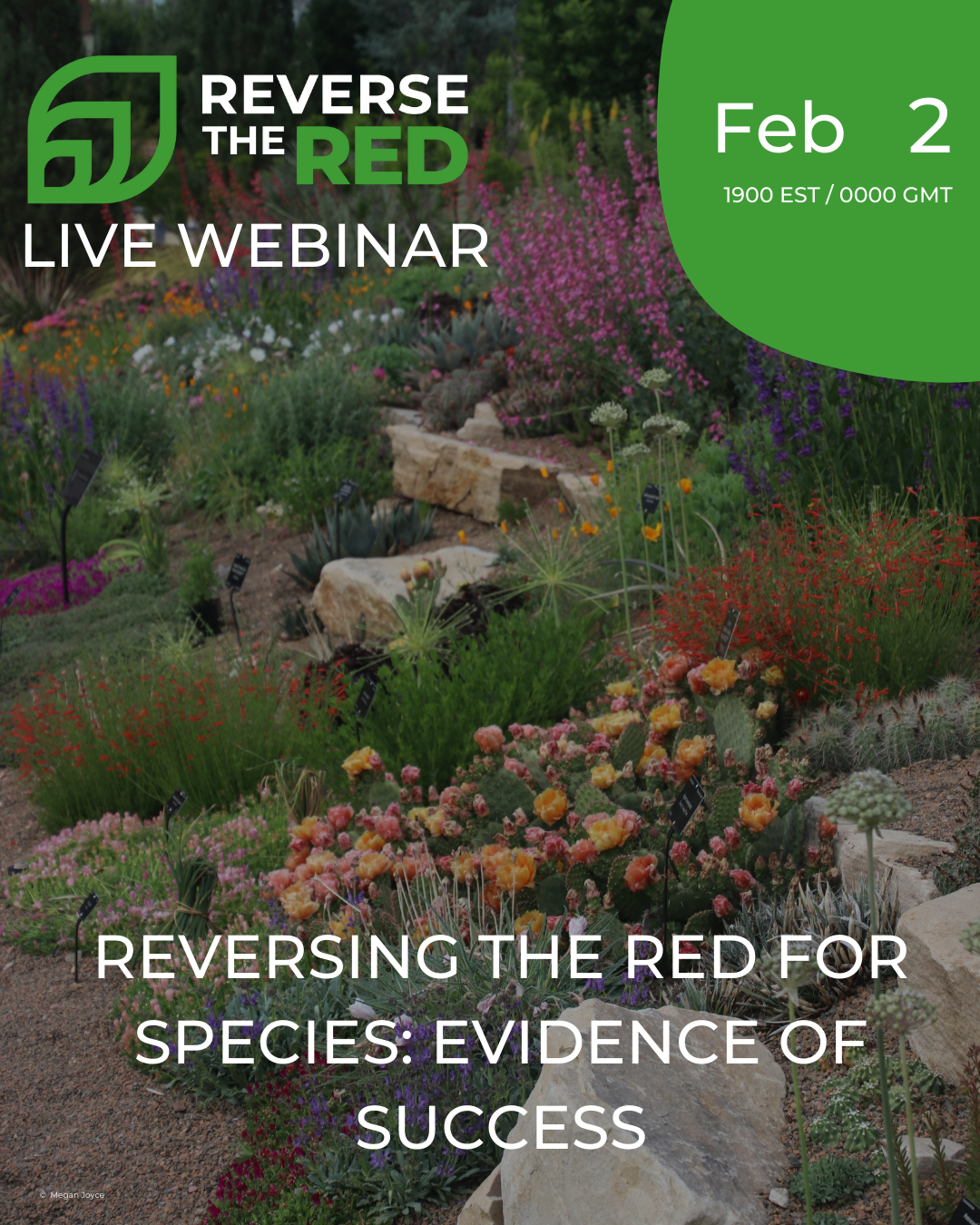 Reversing the Red for Species: Evidence of Success
