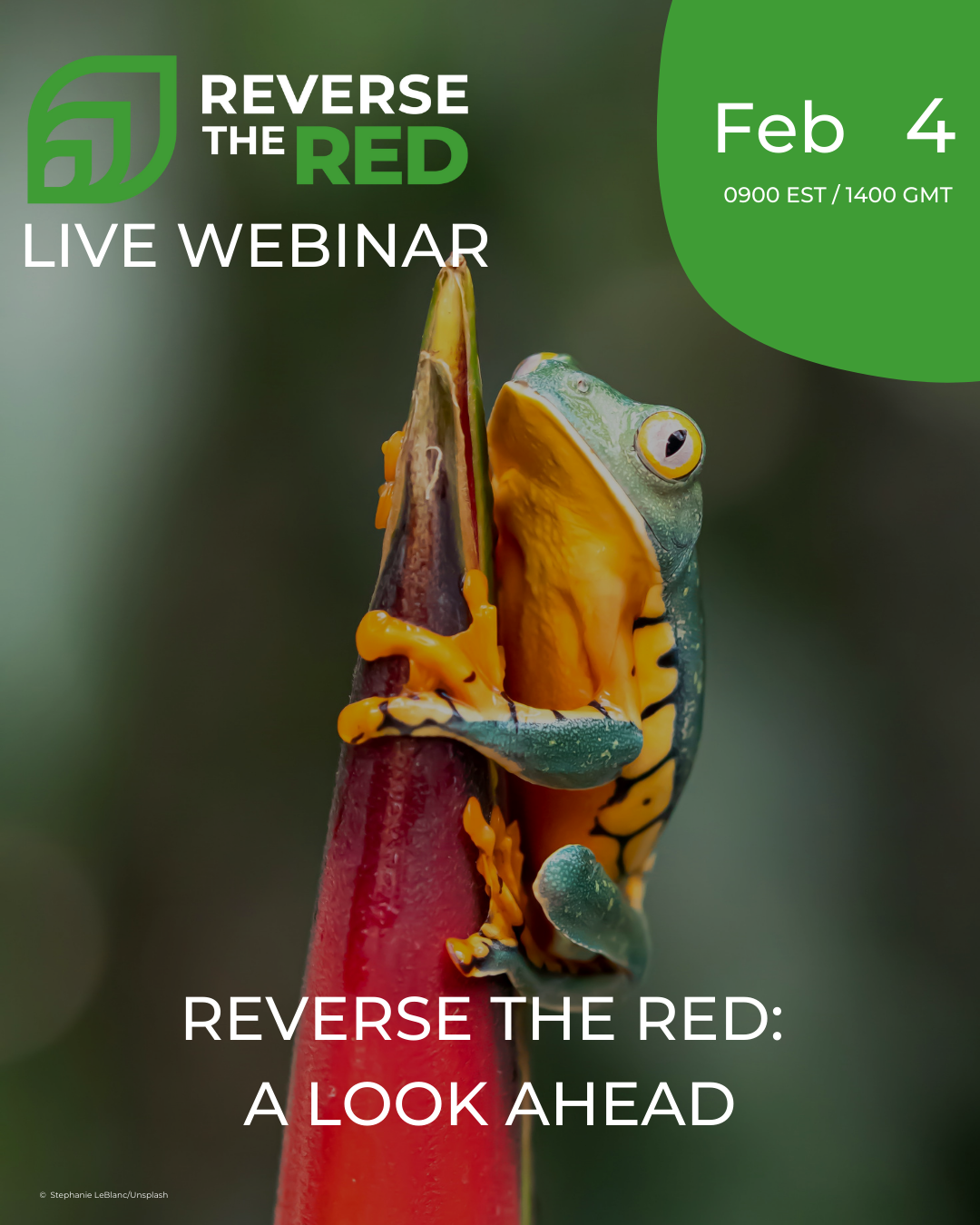 Reverse the Red: A Look Ahead