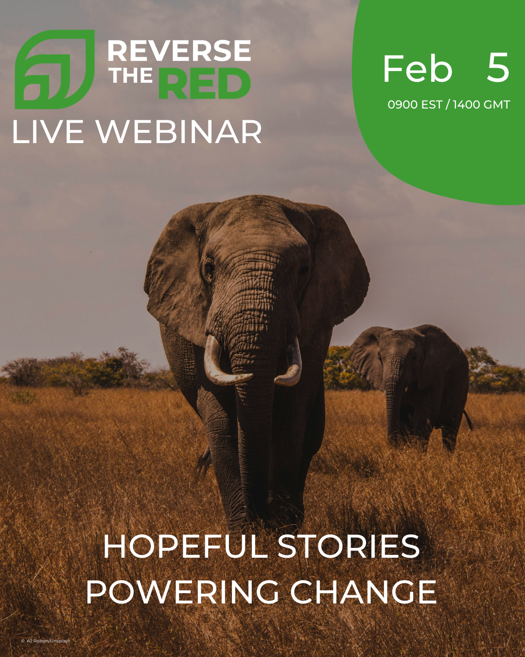 Hopeful Stories Powering Change