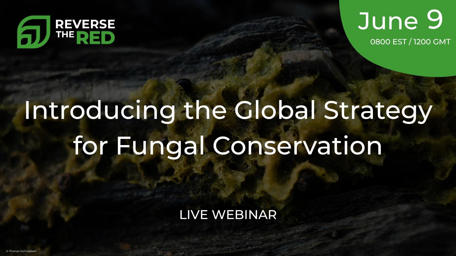 Introducing the Global Strategy for Fungal Conservation