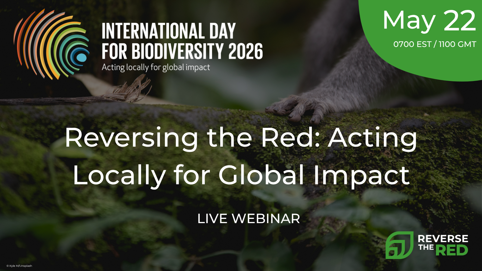 Reversing the Red: Acting locally for global impact