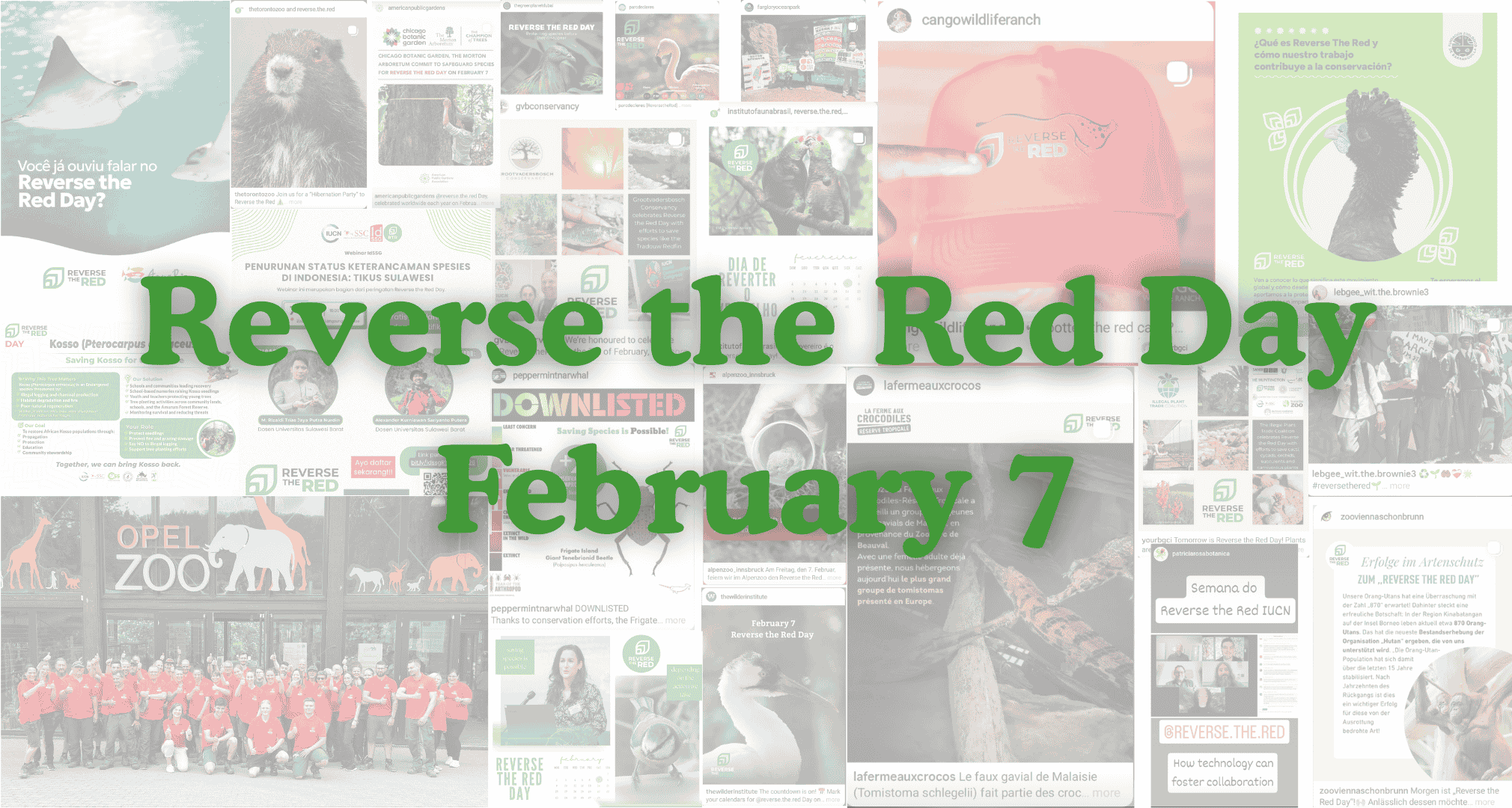 Information Sessions: 2027 Reverse the Red Day and World Species Congress