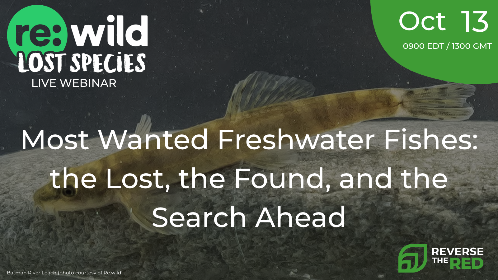 Most Wanted Freshwater Fishes: the Lost, the Found, and the Search Ahead