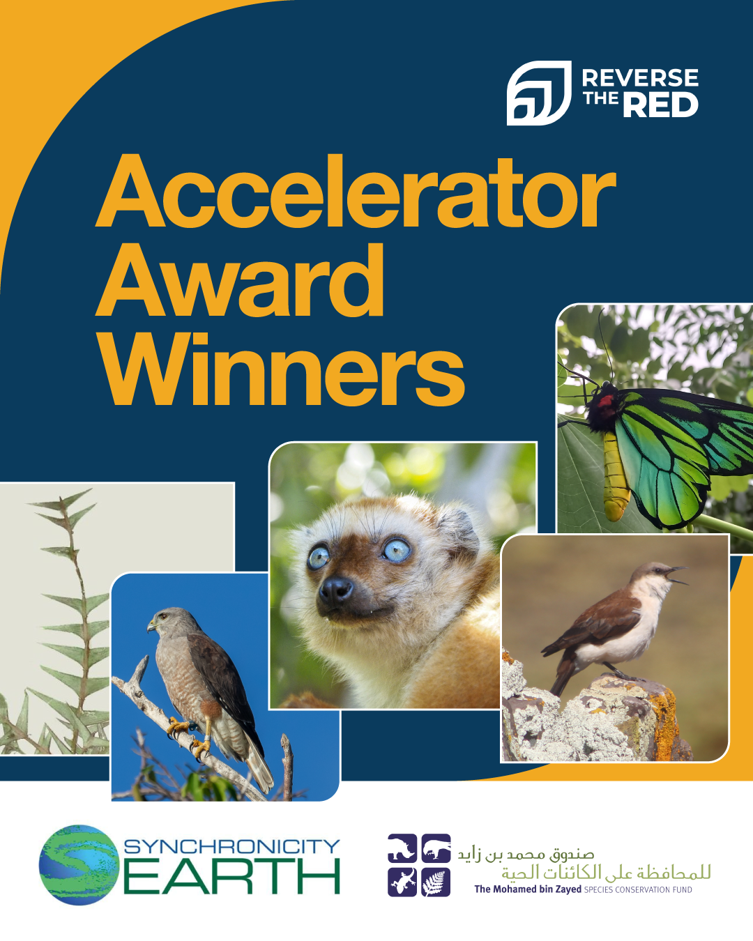 Reverse the Red Announces 2026 Accelerator Award Winners