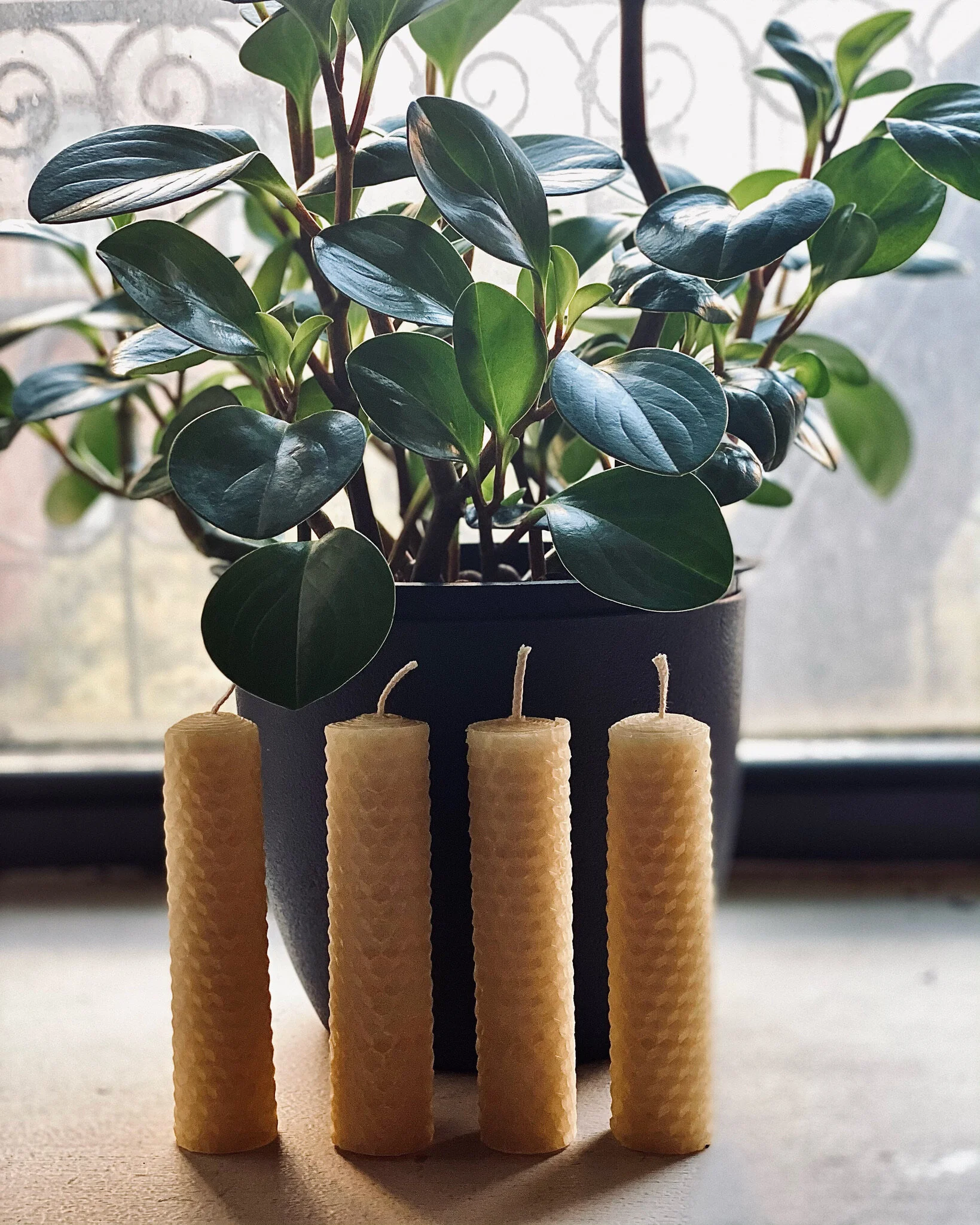 Natural Beeswax Bloom Carnation Flower Candle — Zesty Scents