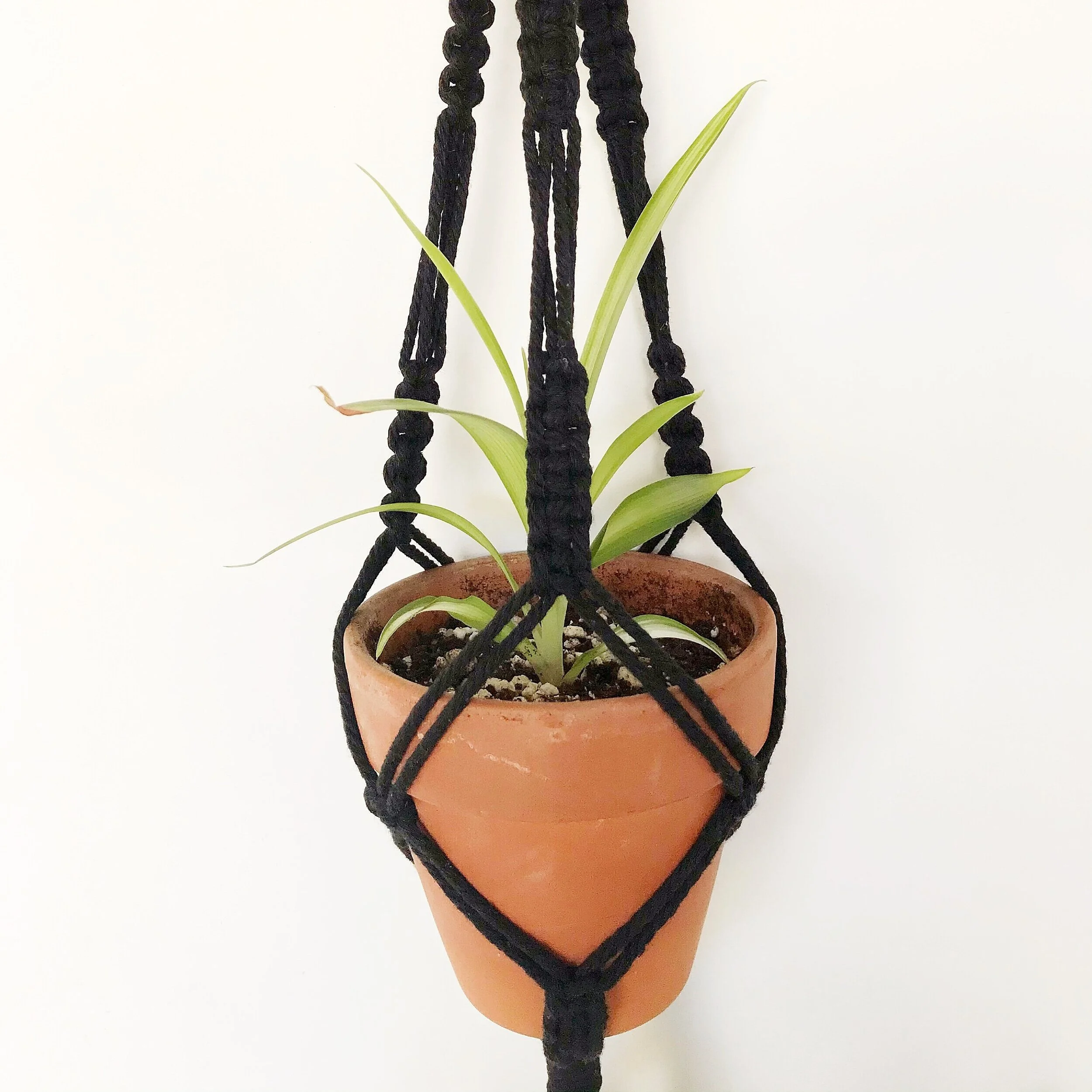 Plant Hangers