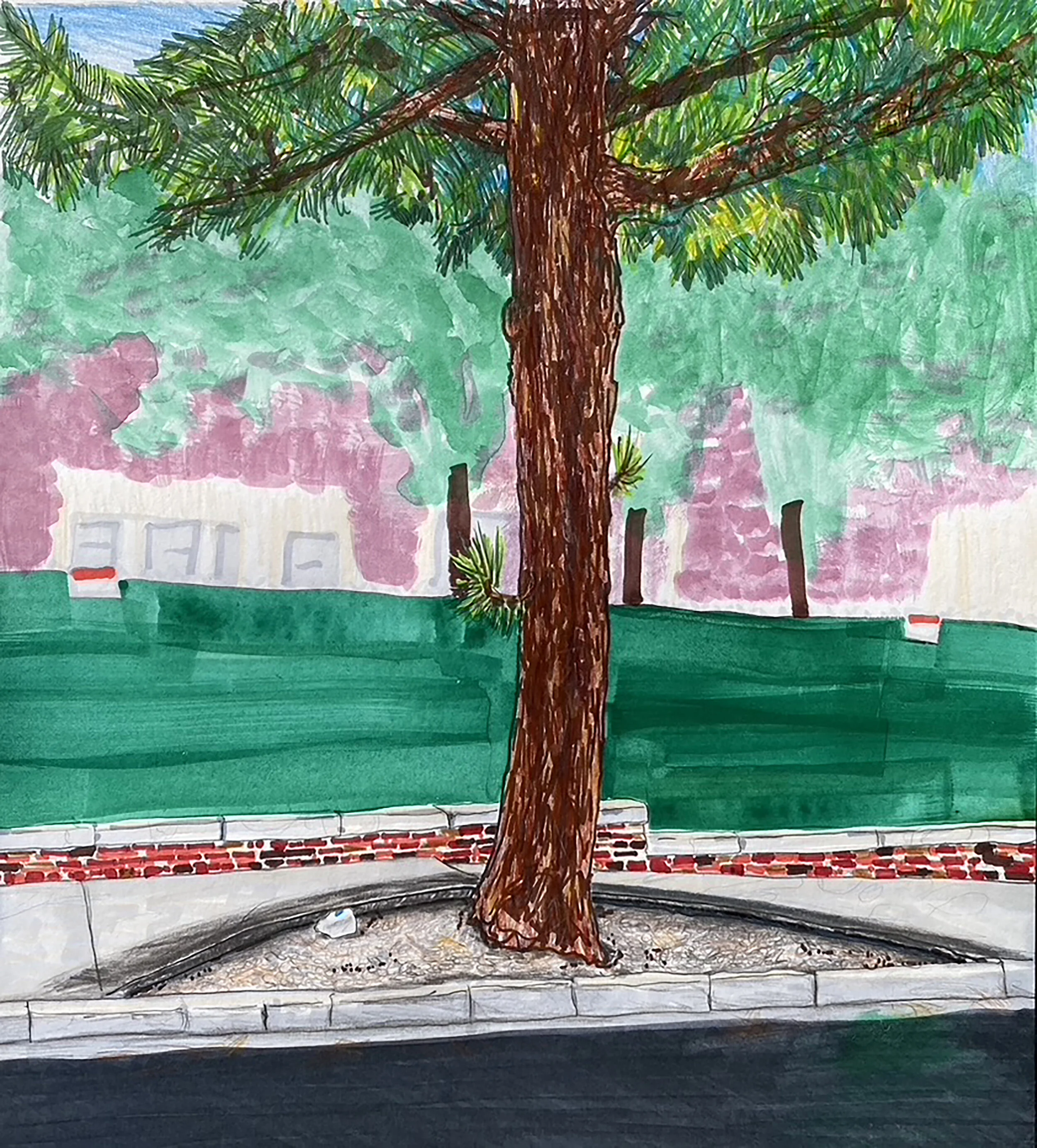 Jmarshalltree.jpg