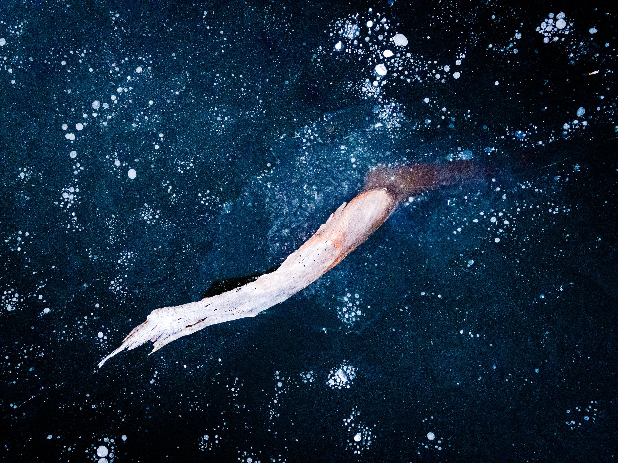 Snowy Trail in Shorthills-4.jpg