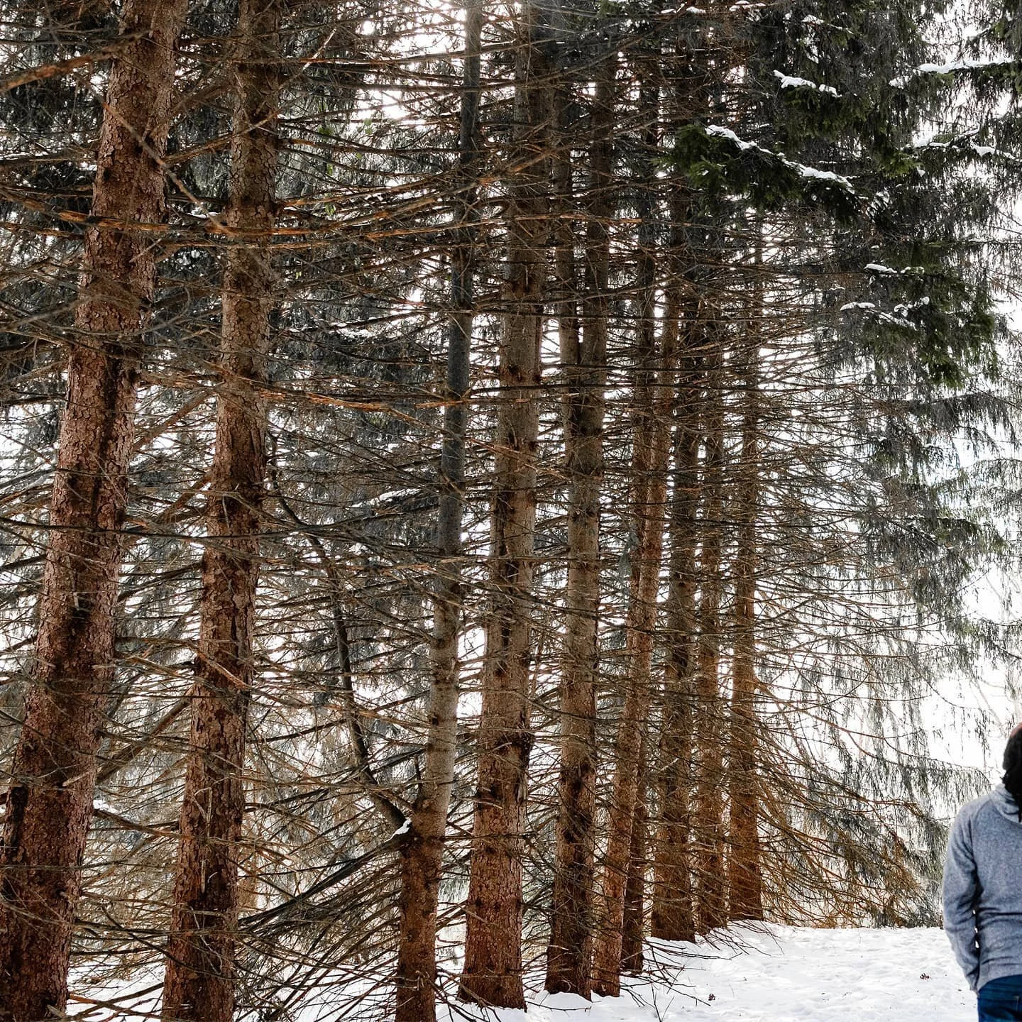 A wild self portrait appears 👀 🌿❄️
.
.
.
.
.
.
.
.
I don't ever take self portraits.. I maybe have taken one or two ever. So I decided to kill two birds with one stone. (which is a pretty horrible metaphor) But when I do take self portraits... I am