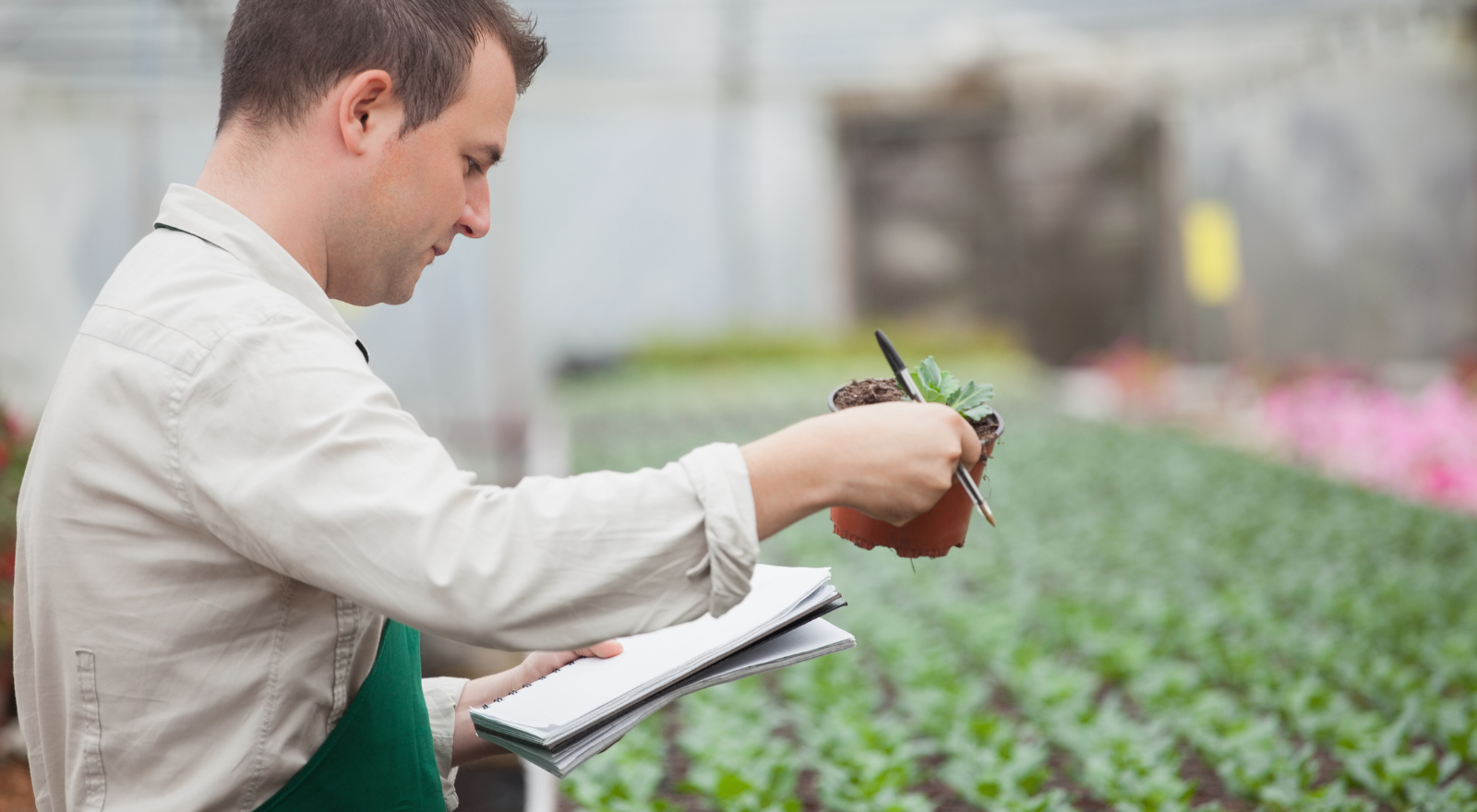 New! Plant Pass Version 2.0 is now live