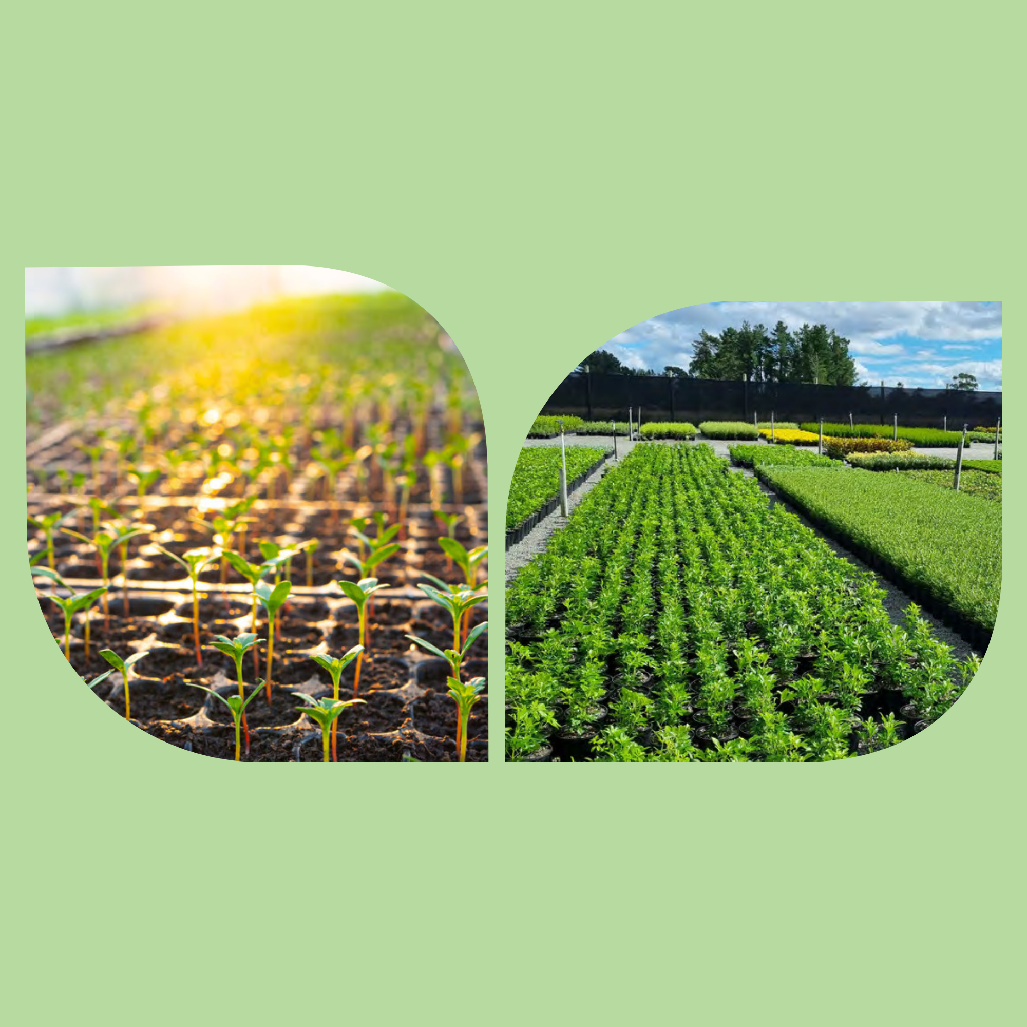 New! Plant Pass Version 2.0 is now live