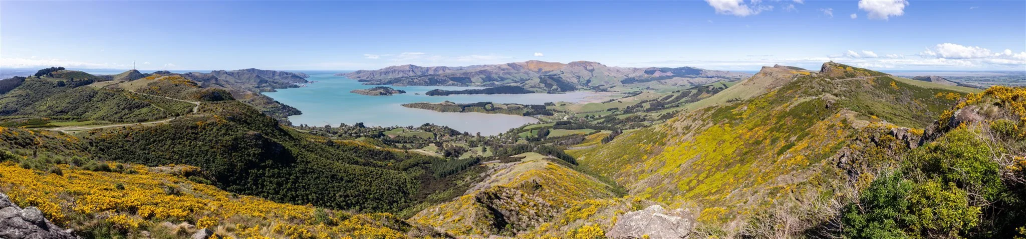 Summit Road Society joins the Plant Pass Partner network