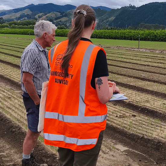 Jump in forest nursery Plant Pass participation