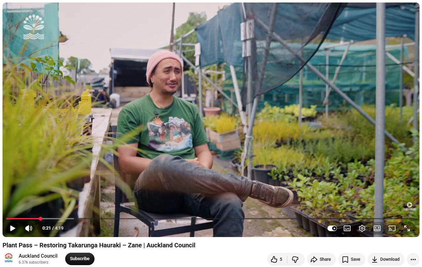 Auckland Council promotes native plant nurseries