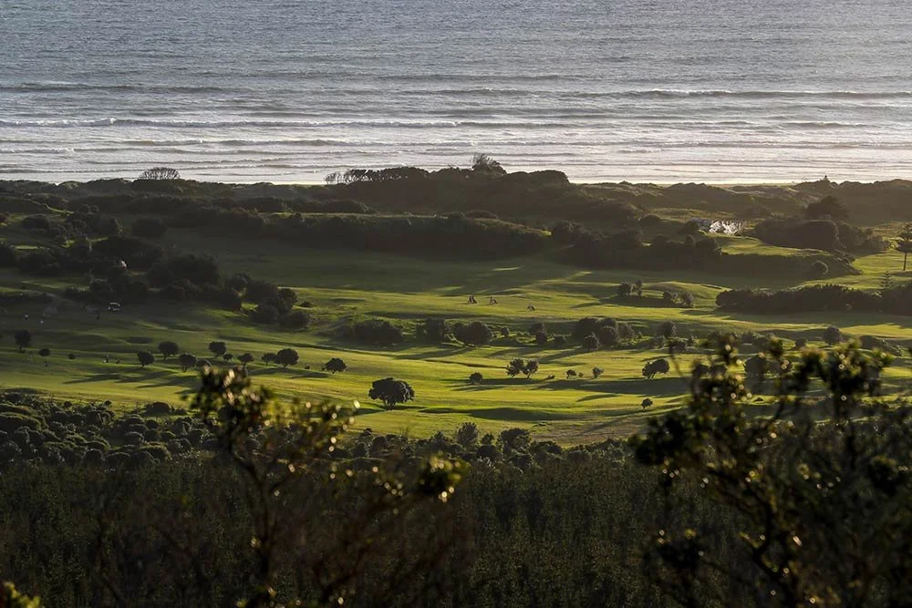 New Zealand Golf Industry Council joins Plant Pass Partner network