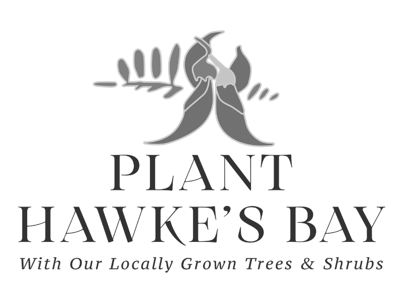 planthawkesbay.png