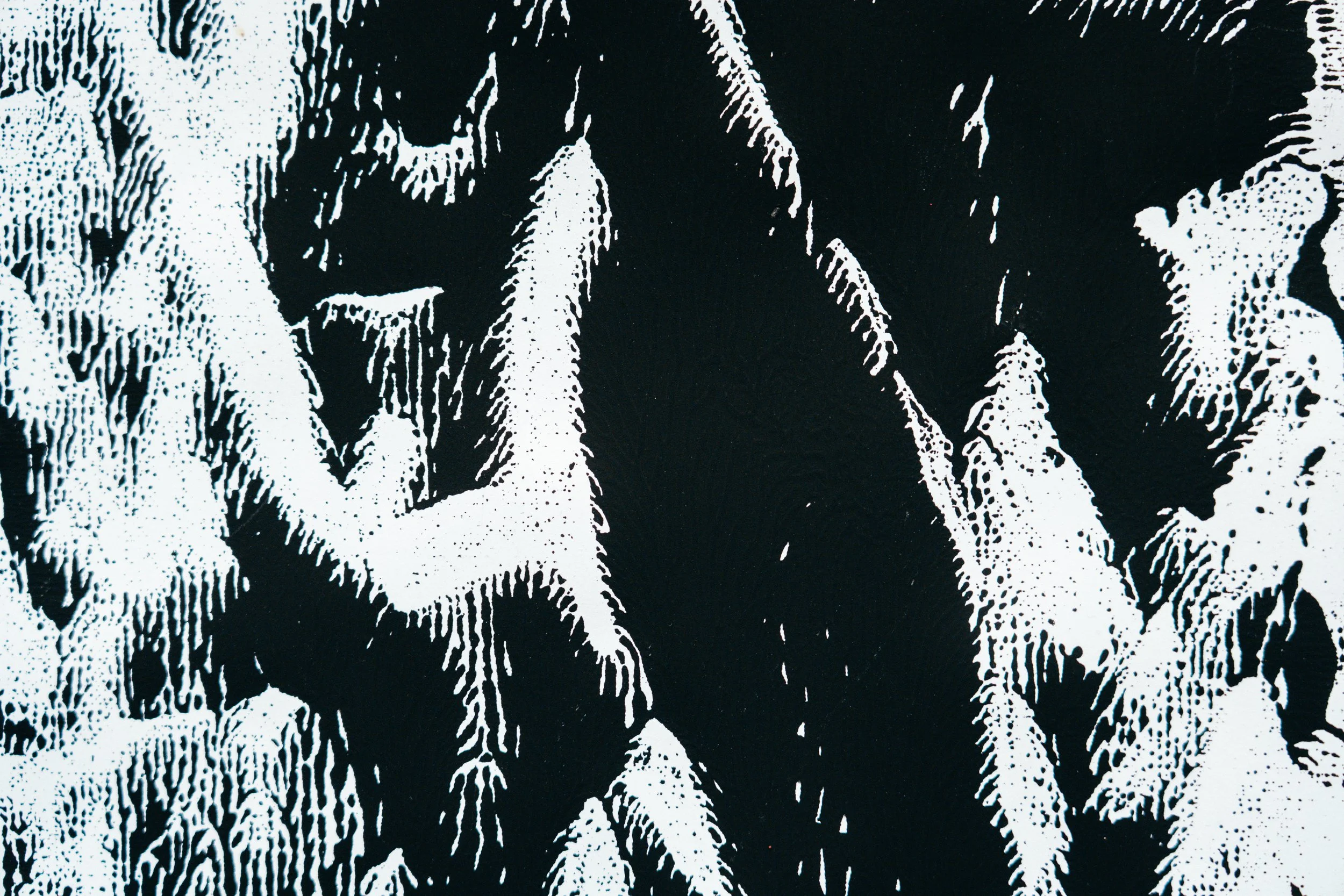 May 2025_Artwork Documentation-92.jpg
