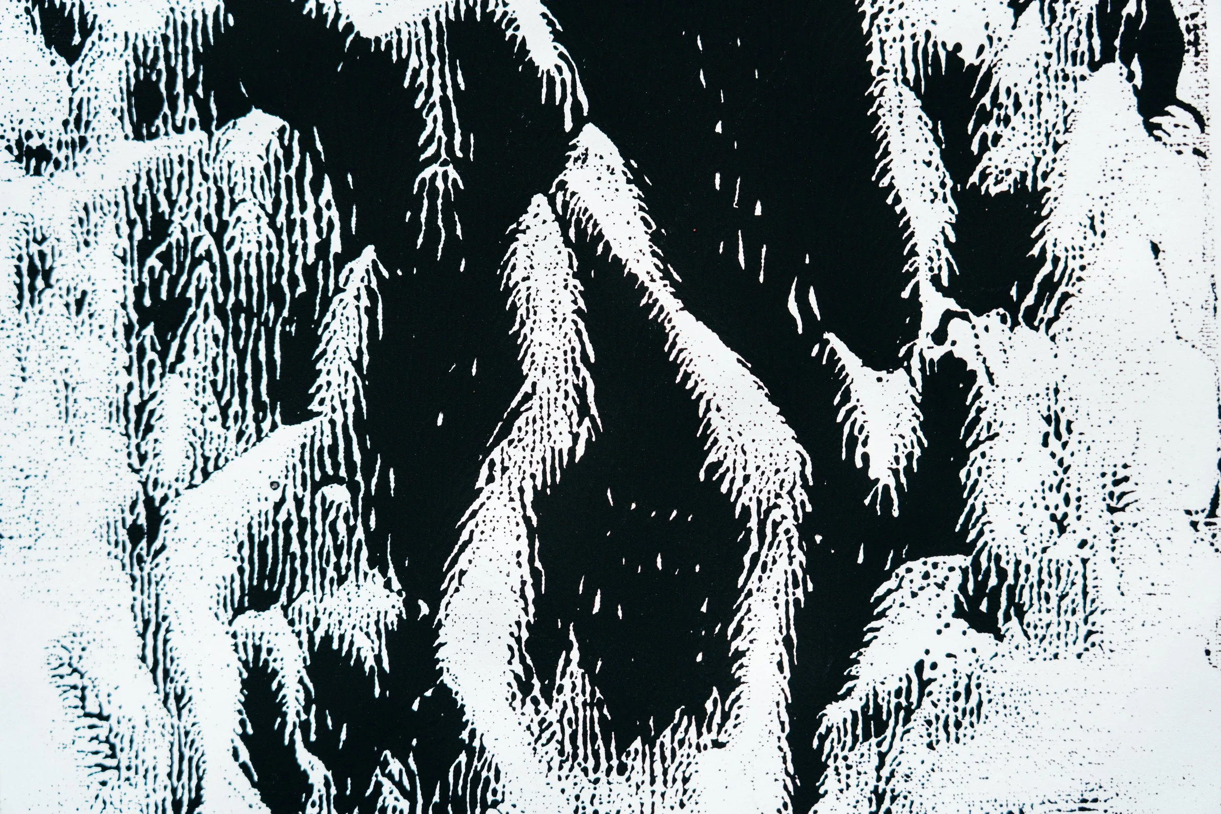 May 2025_Artwork Documentation-91.jpg