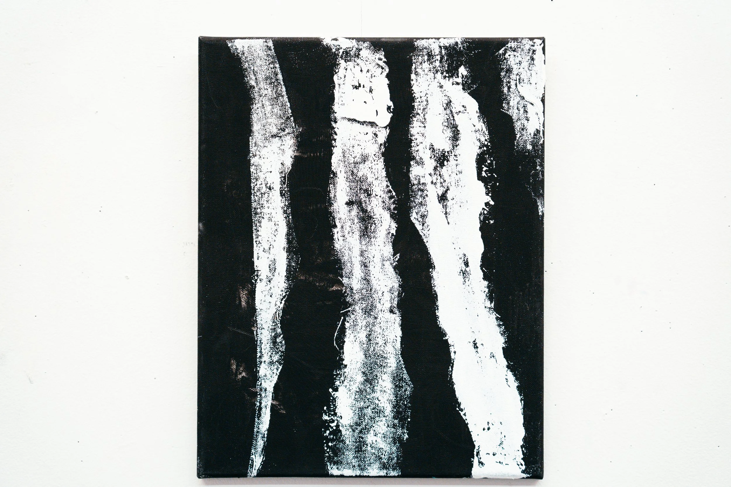 May 2025_Artwork Documentation-62.jpg