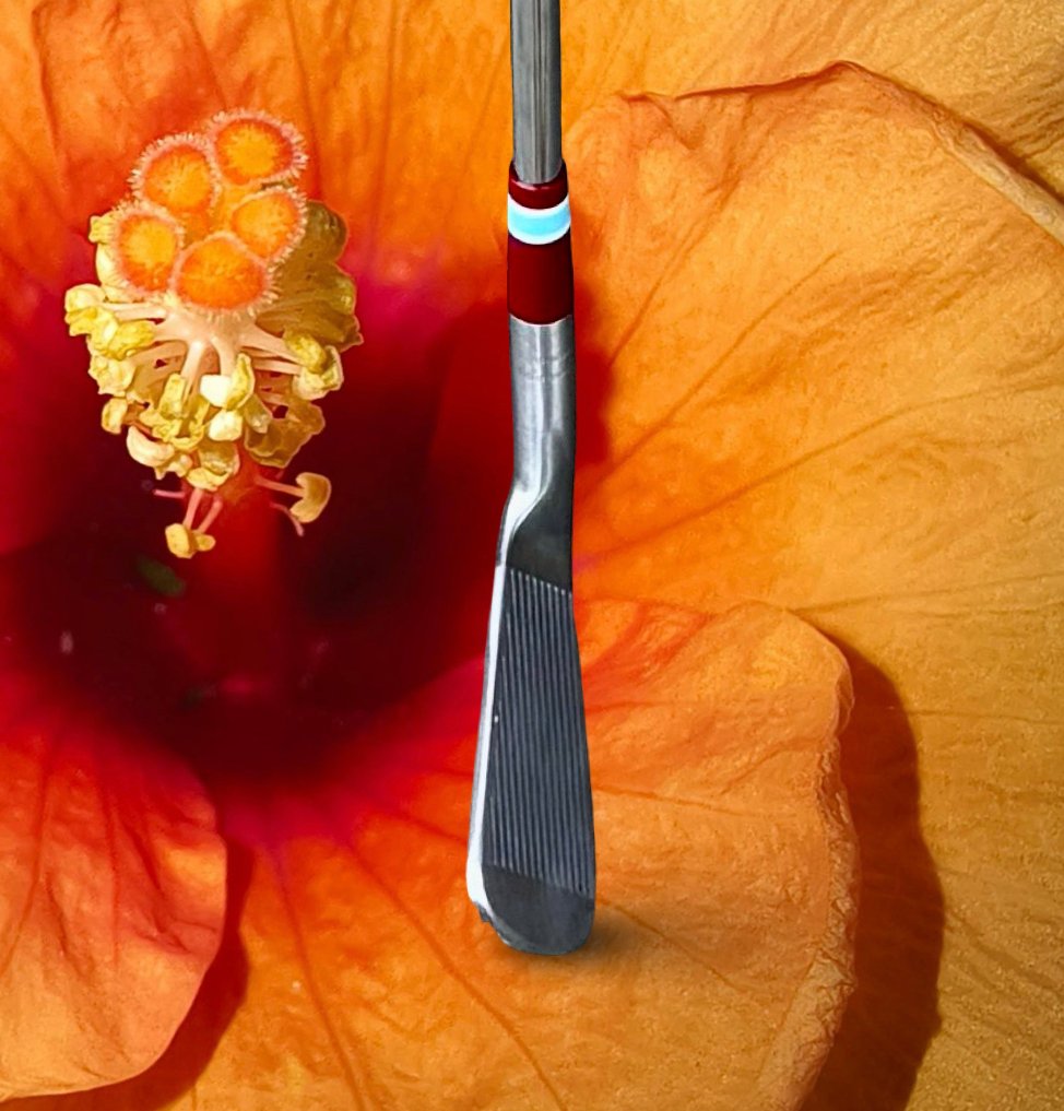 F0145BA4-541D-4D91-A71B-22F7A37B96D3.jpeg