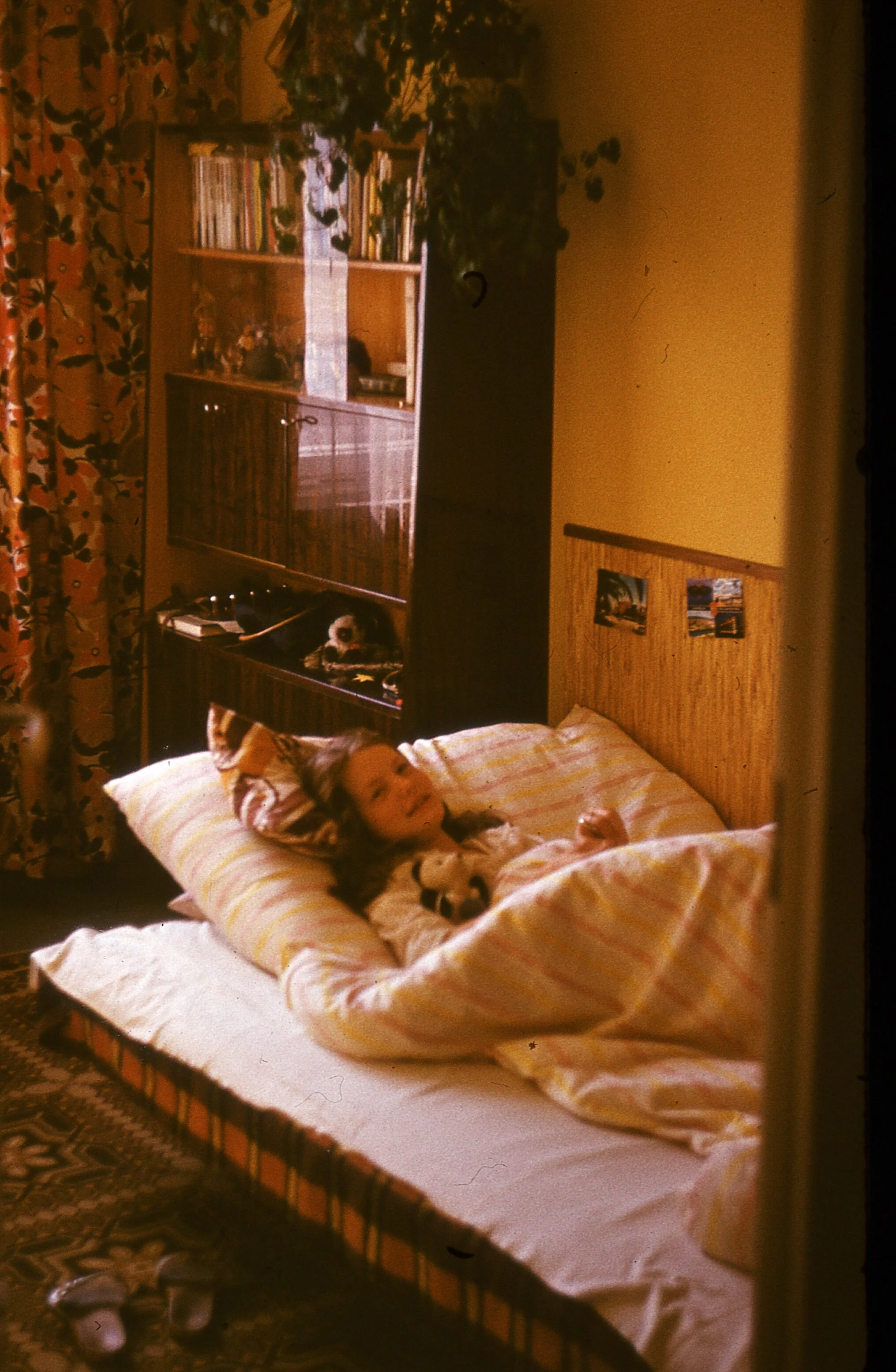 img116.jpg
