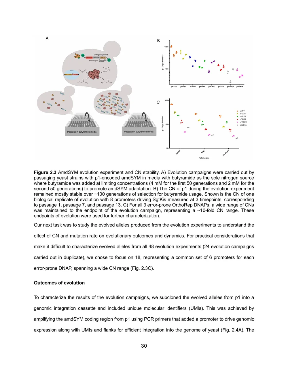 Pisera_Alexander_Thesis_Final_Rev1-images-42.jpg