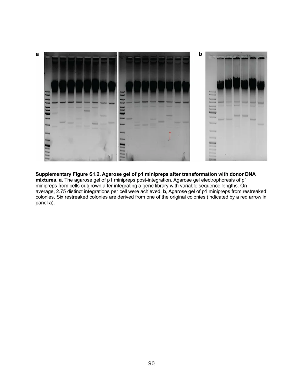 Pisera_Alexander_Thesis_Final_Rev1-images-102.jpg