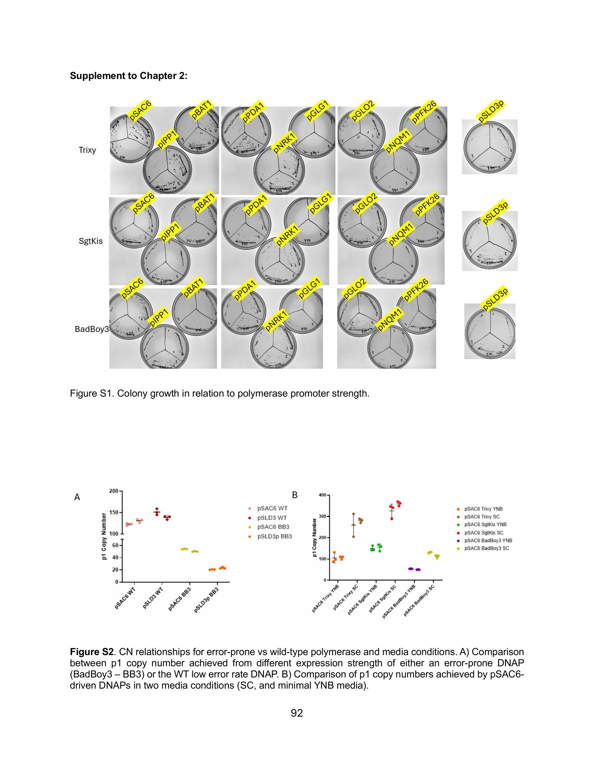 Pisera_Alexander_Thesis_Final_Rev1-images-104.jpg
