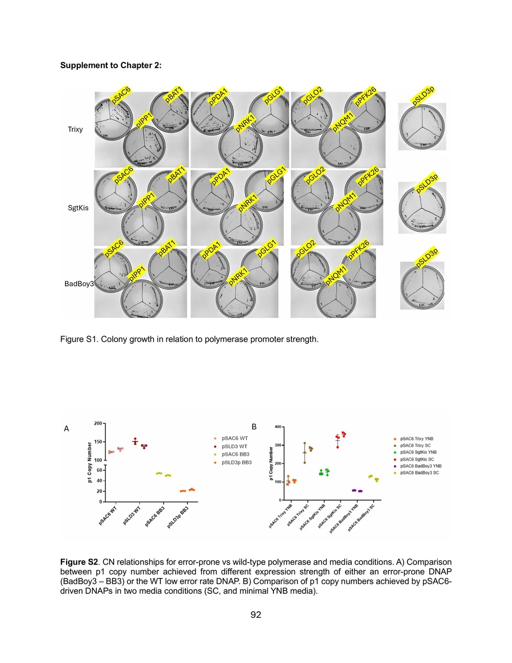 Pisera_Alexander_Thesis_Final_Rev1-images-104.jpg