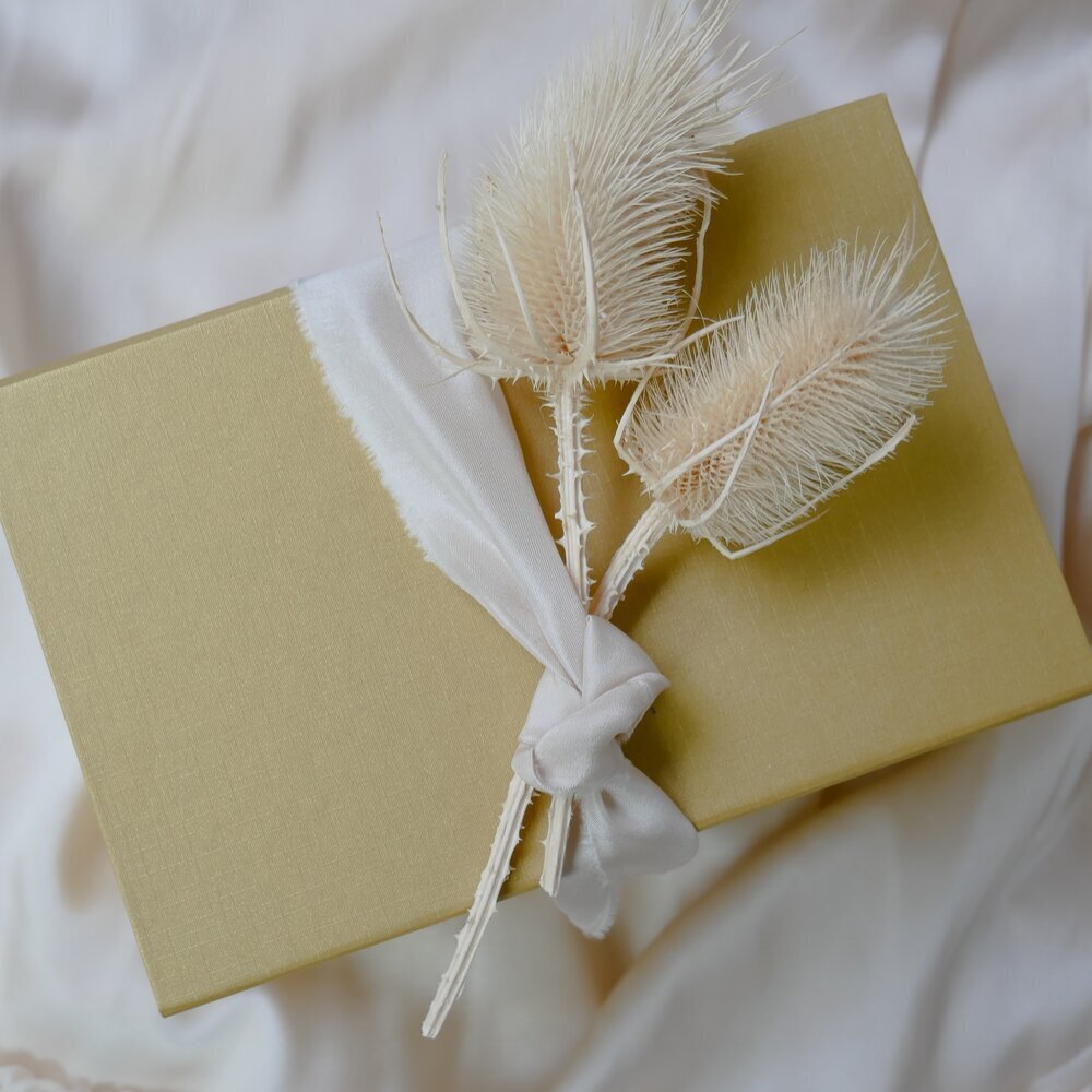 seashell-in-love-kristin-TkFzFeuPbBc-unsplash+(1)+(1).jpg