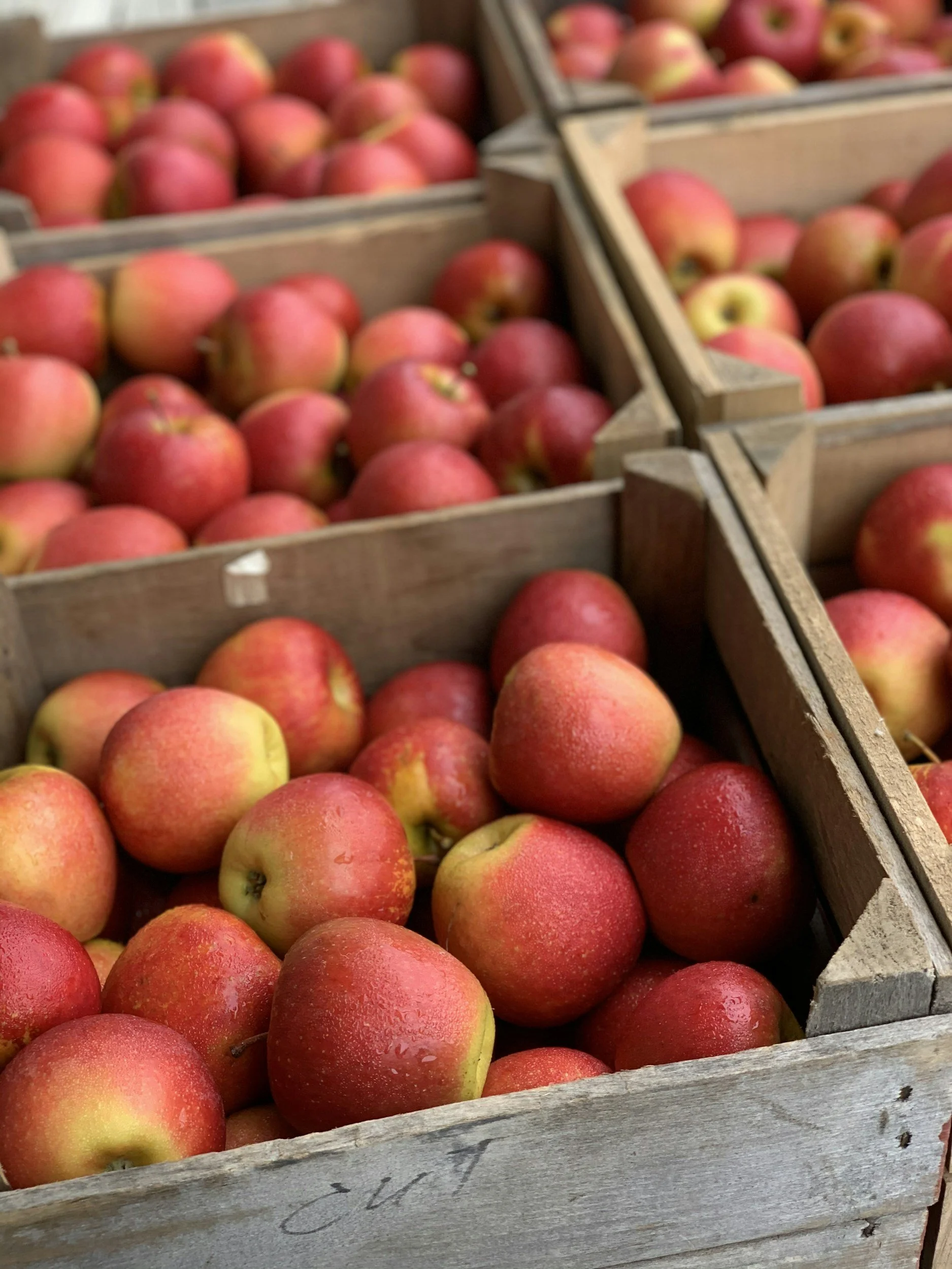 "Apple Harvest Dinner" with Chef Melissa Hass at Woodbridge General Store