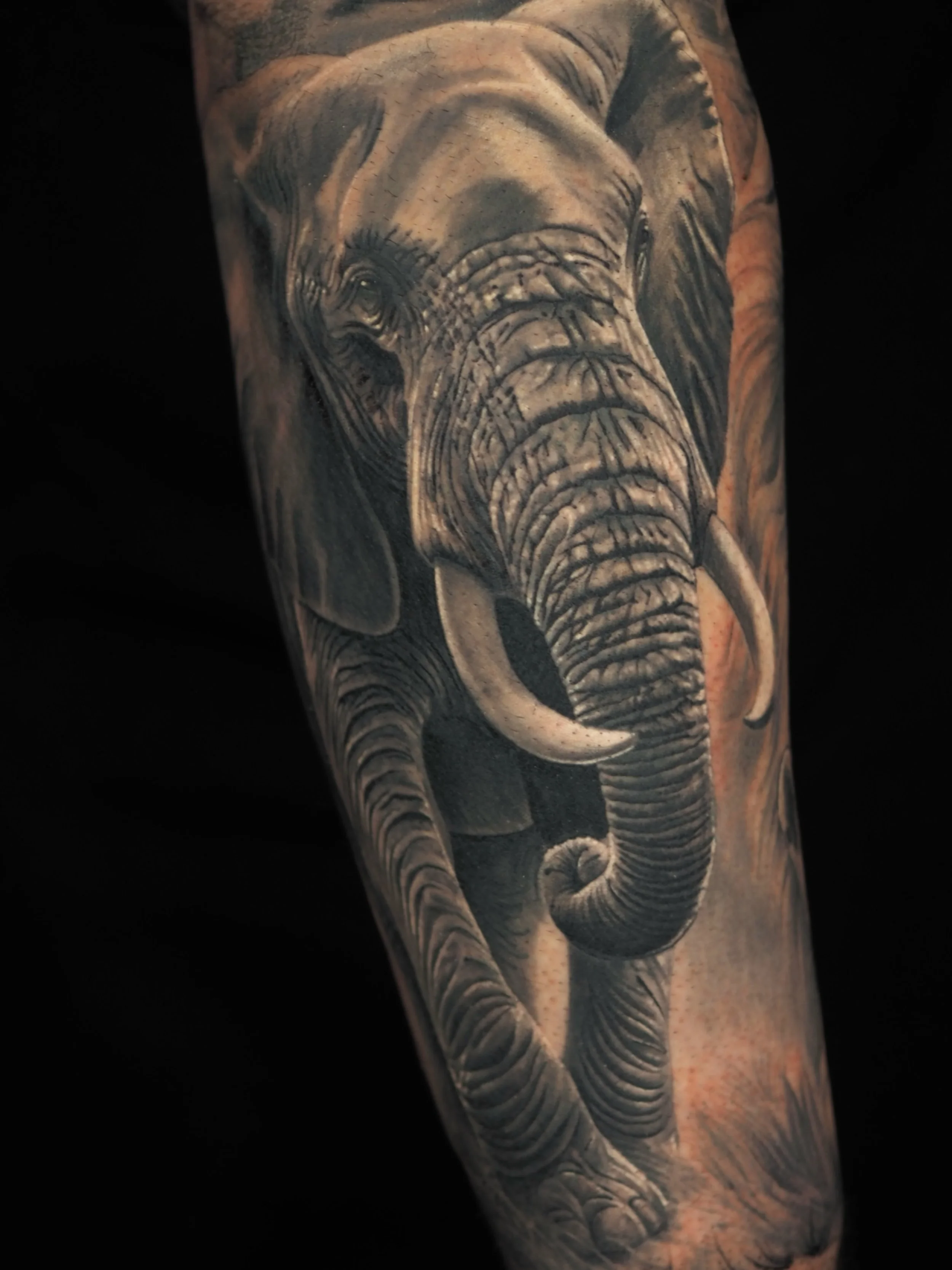 It&rsquo;s been a while since I&rsquo;ve done some animal portraits!