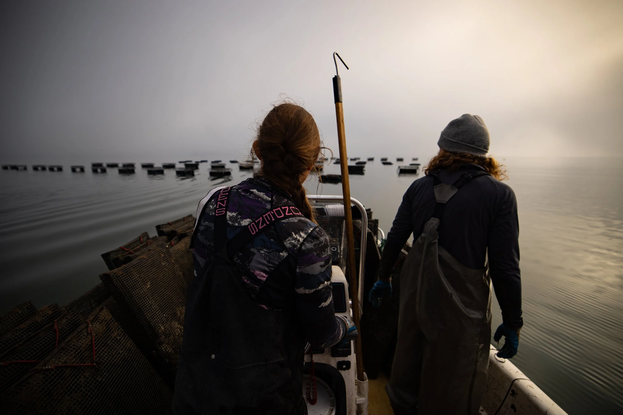 Two people on a boat near floating oyster trays in foggy water.