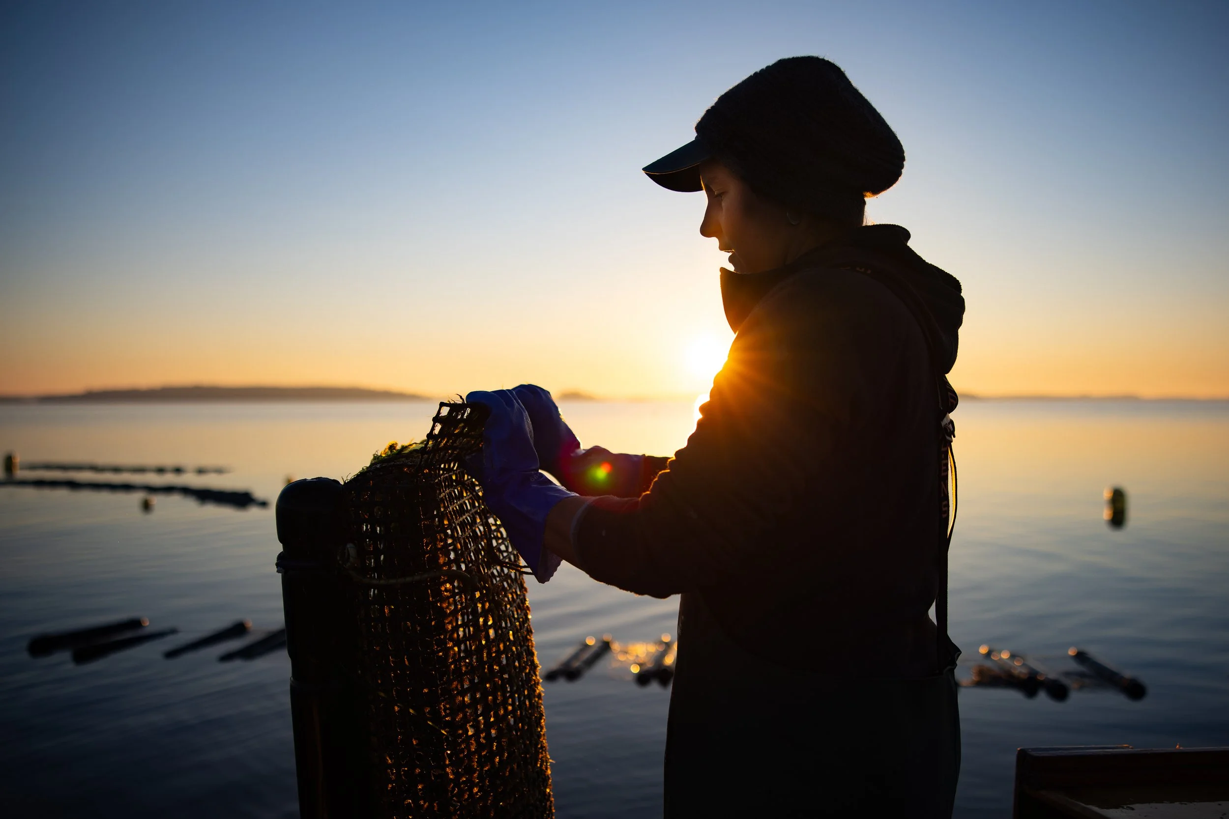 Silhouette of a person working with oyster equipment at sunrise by the water.