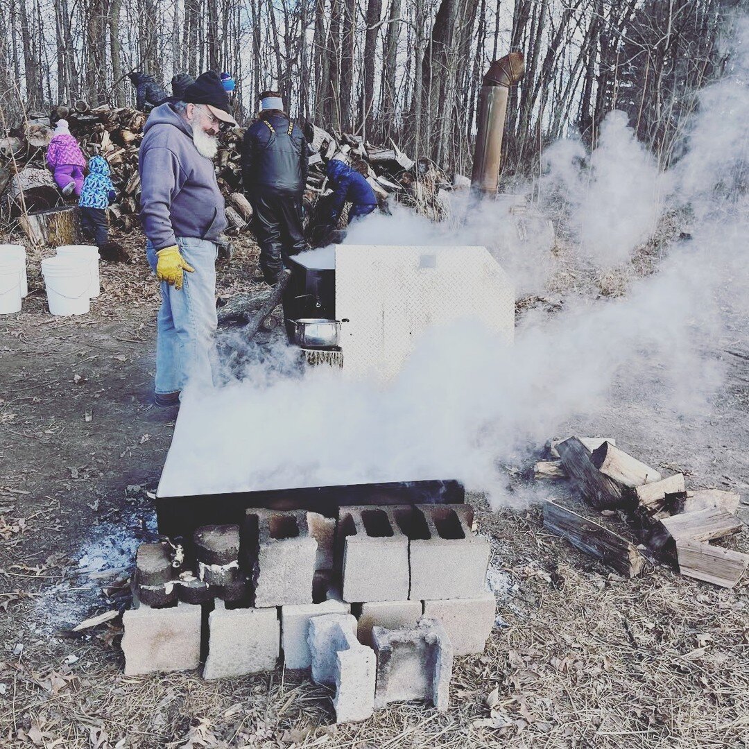It's a great week for maple syrup!
Freezing at night and above freezing during the day. Sandy and Jim are put in their hours around the fire. It takes about 40 gallons of sap boiled down to get one gallon of syrup! 
We do most of our boiling over the