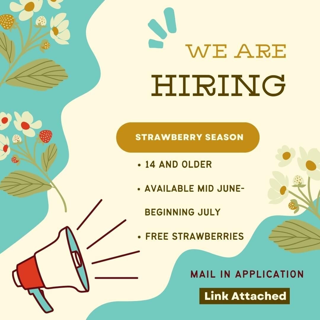 NOW HIRING!

We are hiring for our strawberry season! Ages 14 and older. Must have most availability from mid June-early July.  Great first job opportunity. 

Fill out the application found on our website with this link: https://www.cuffarms.com/cont