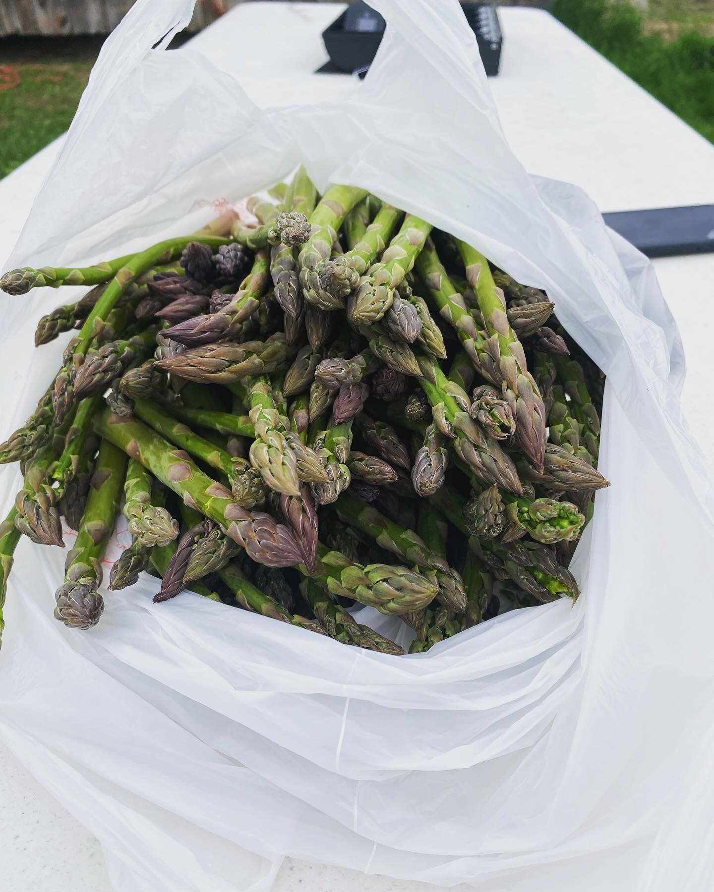 We have asparagus! It has been awhile since we have had fresh asparagus for a sale but our new bed is finally catching up! Woot woot!

It&rsquo;s just beginning but it&rsquo;s selling fast this weekend. 

If you&rsquo;d like some you can message me, 