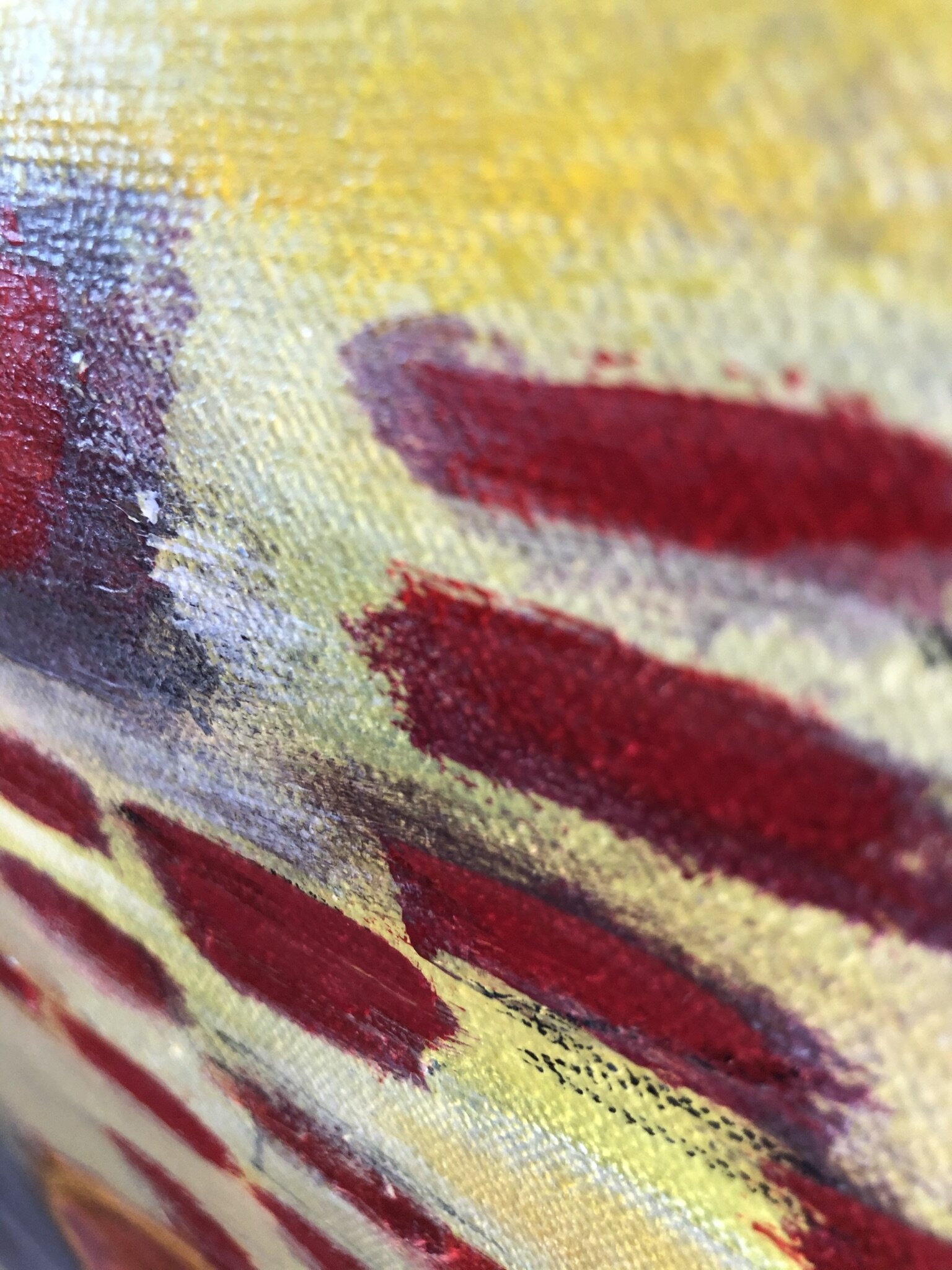 Flutter, detail 1