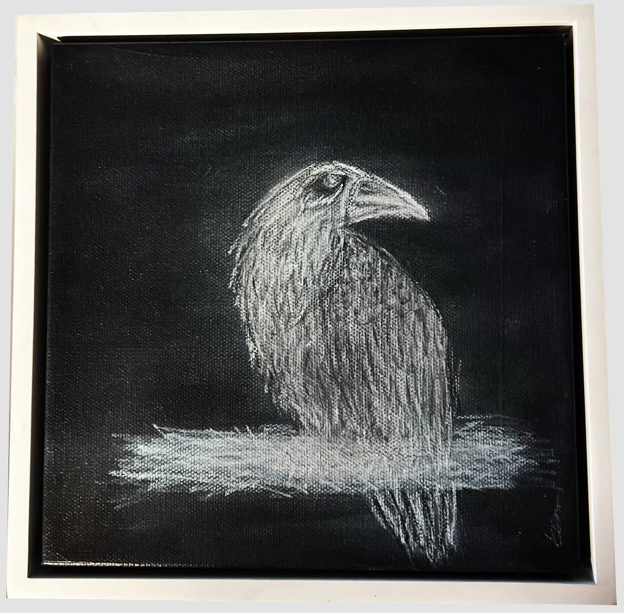 Justice - white crow