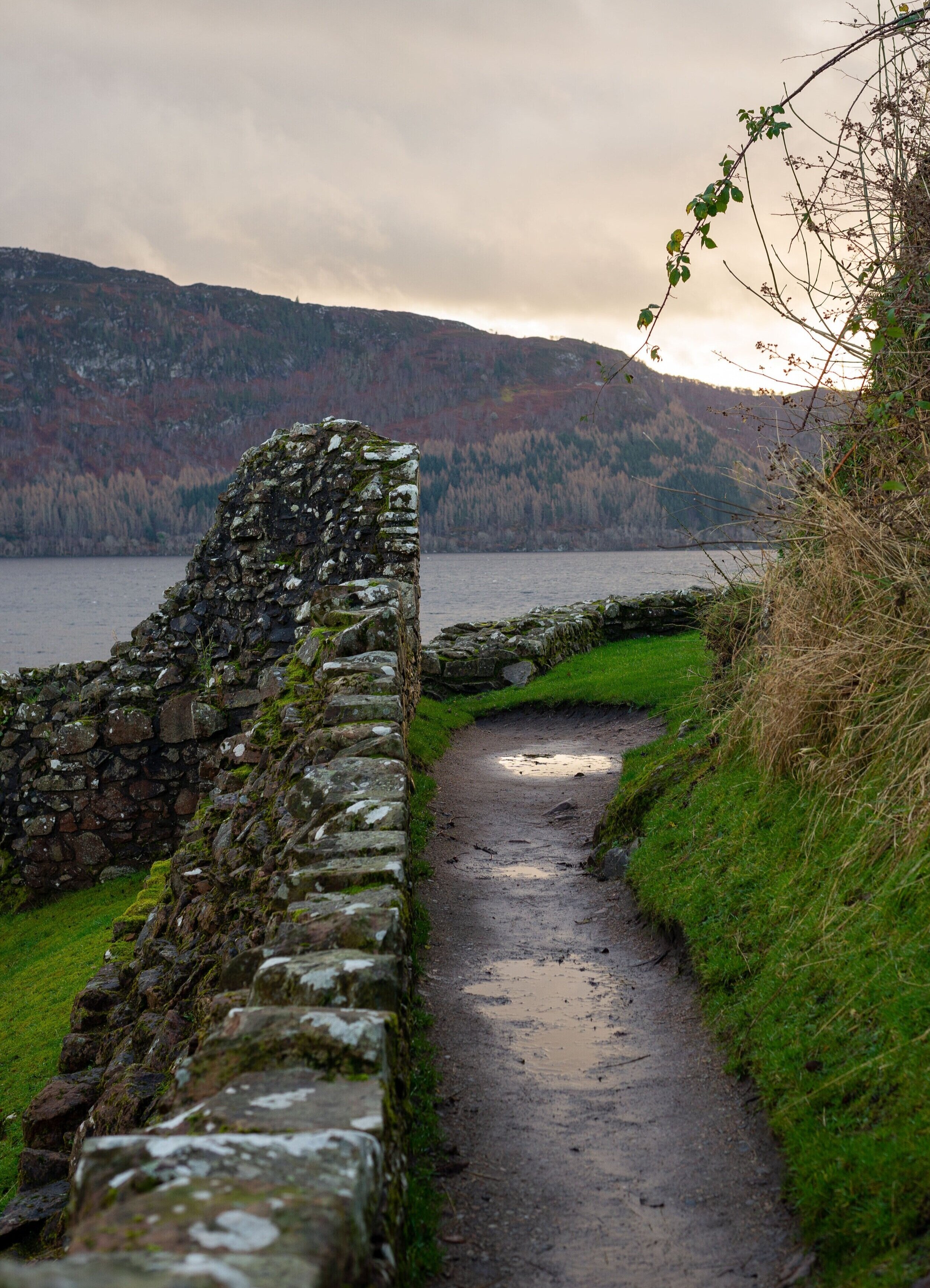 ABroughton_Portfolio_2020-49.jpg