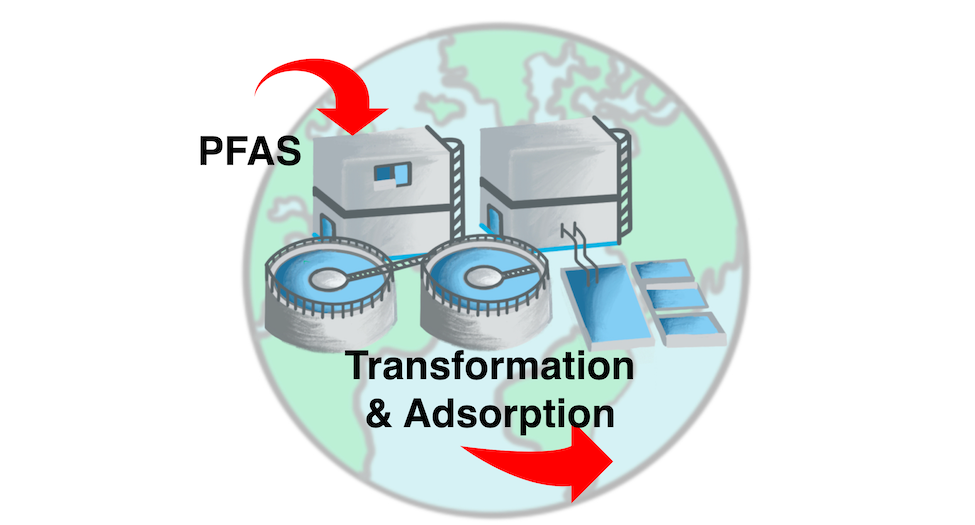 Wastewater treatment plant superimposed over globe. PFAS flow and Transformation and Adsorption indicated with red arrows.