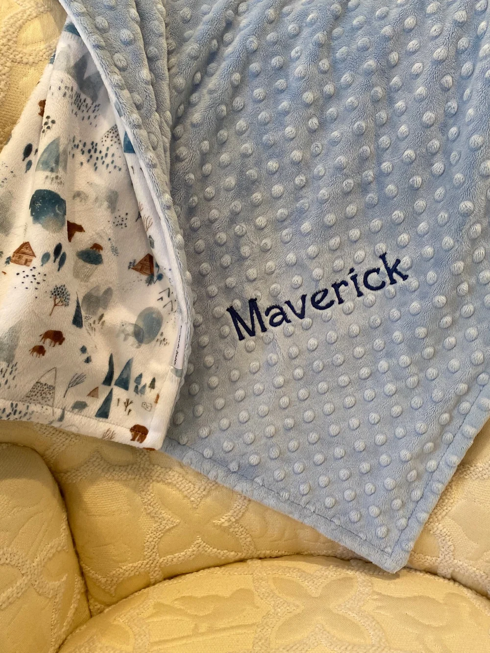 Mountain minky baby blanket top