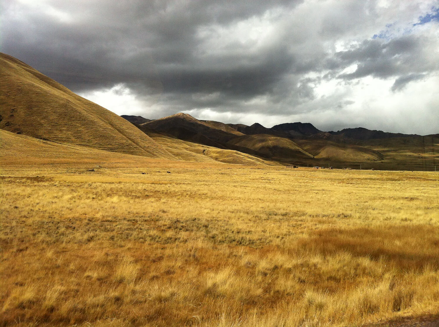 Altiplano bolivien