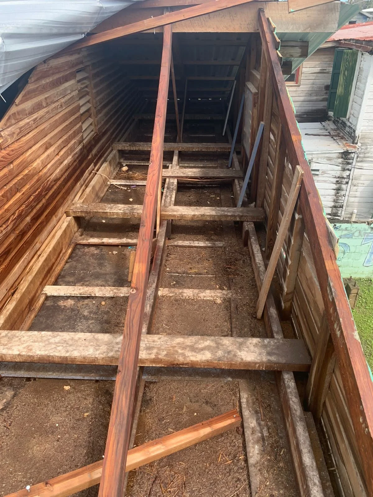 PHOTO-2022-11-03-19-39-23 2.jpg