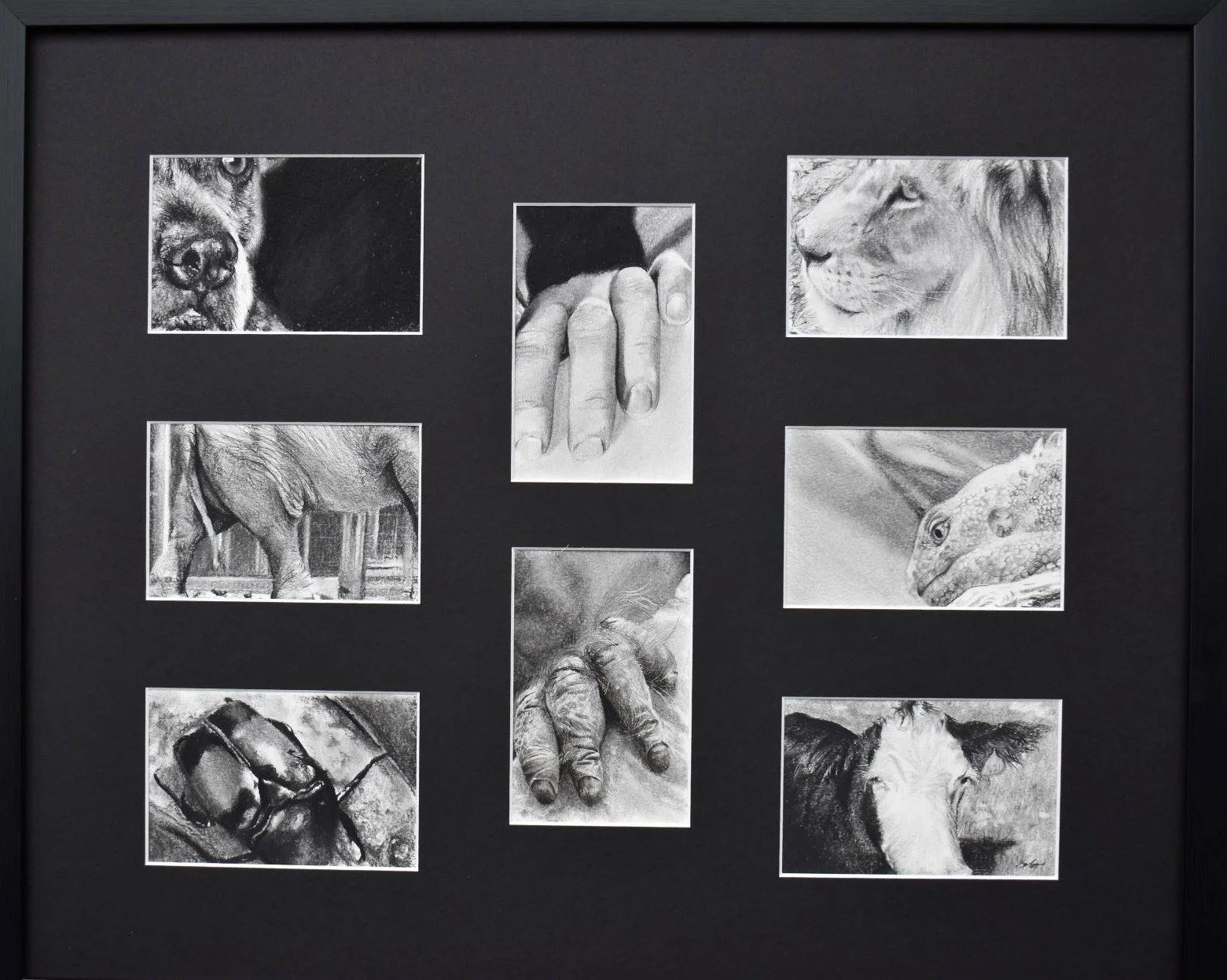 Family Portrait Primary.JPG