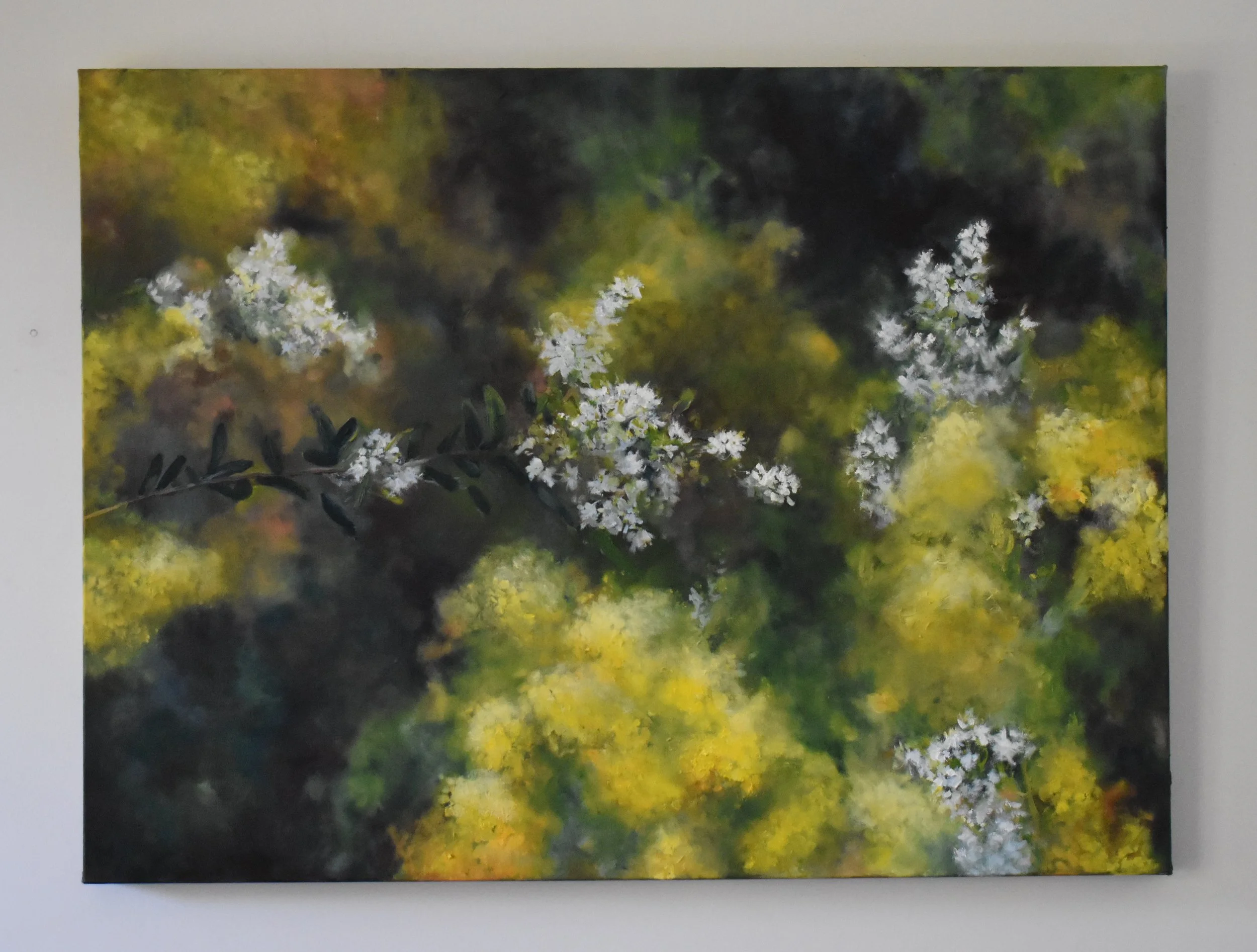 Inspiration in situ2.JPG