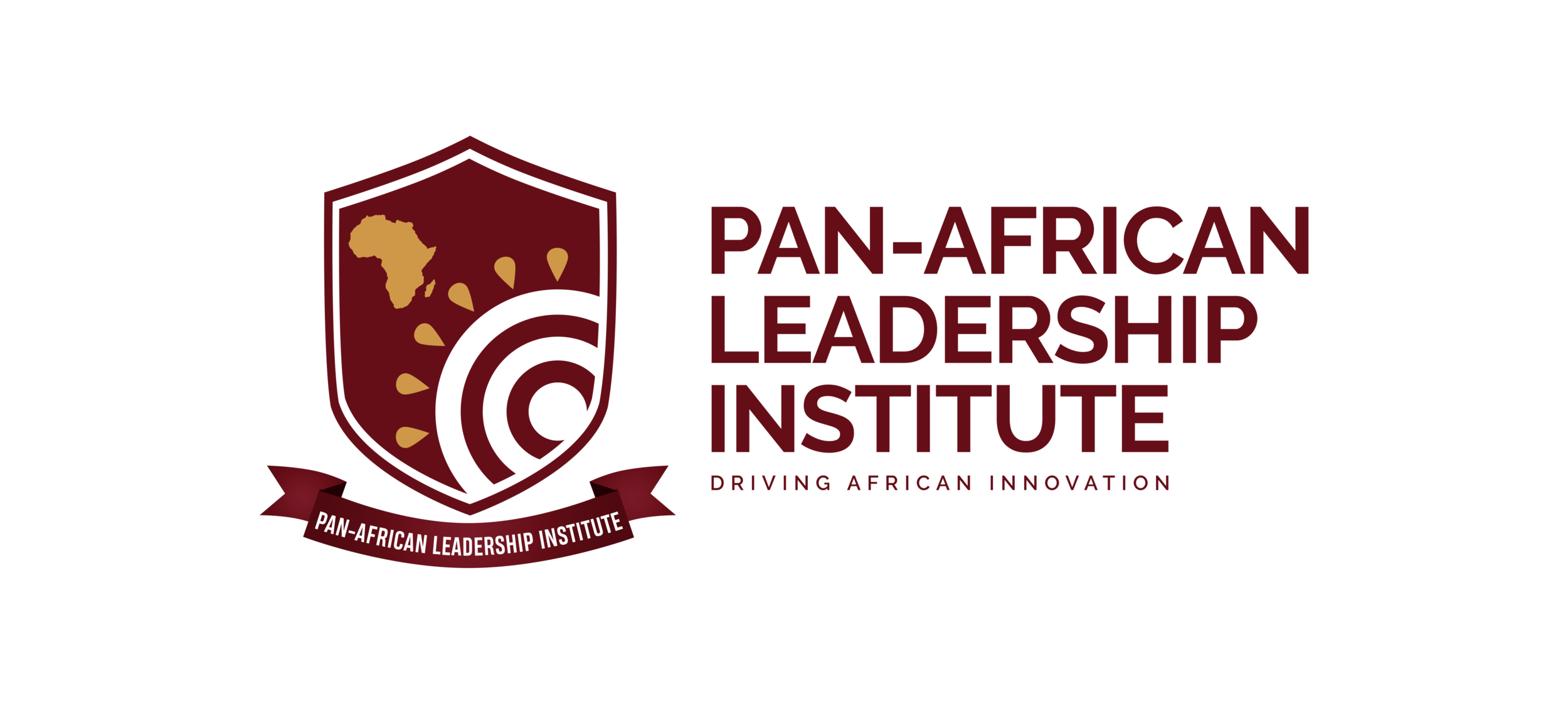 PALI LOGO LONG.png