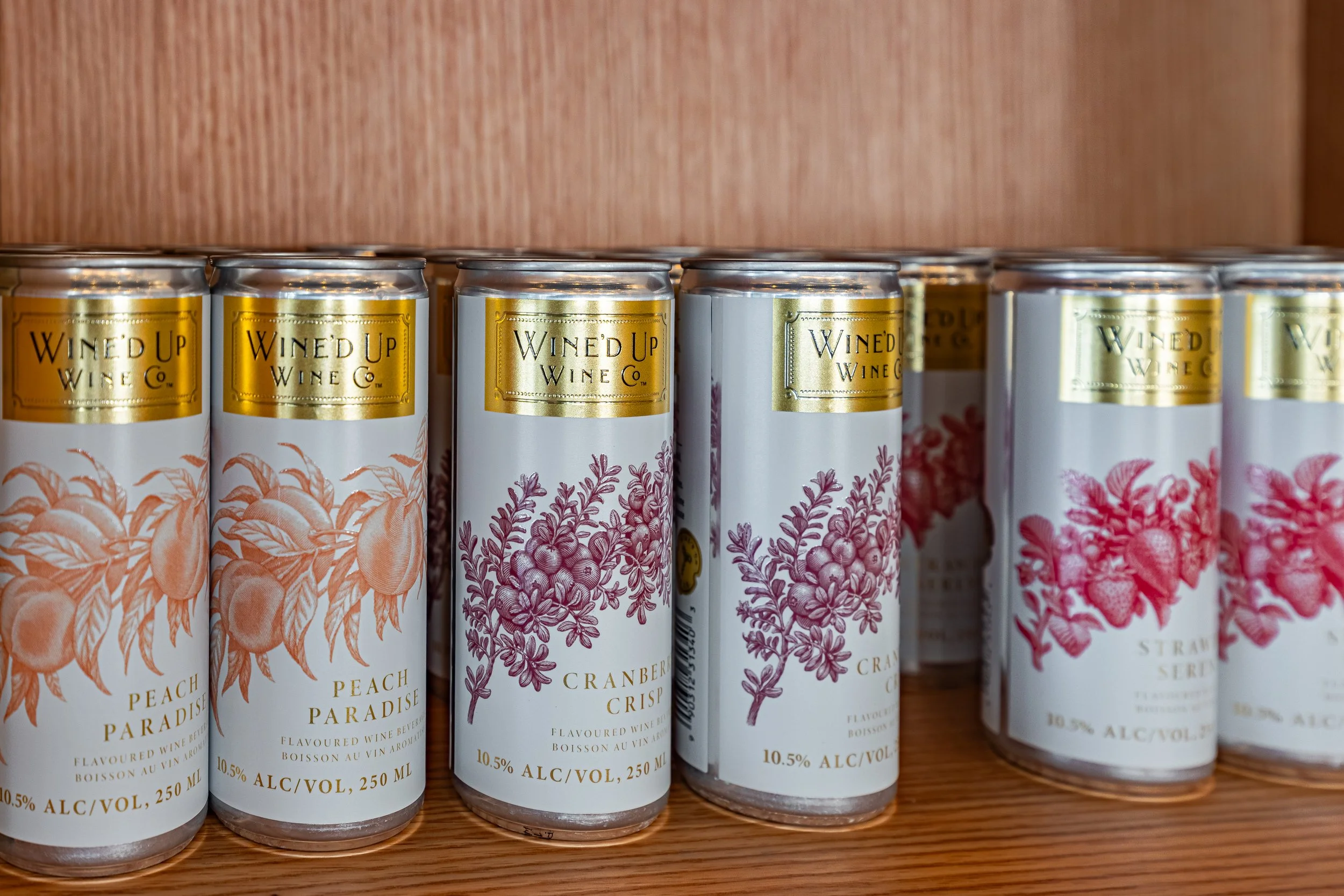 LR - Sky Chase Production Day 12.17.25-102.jpg