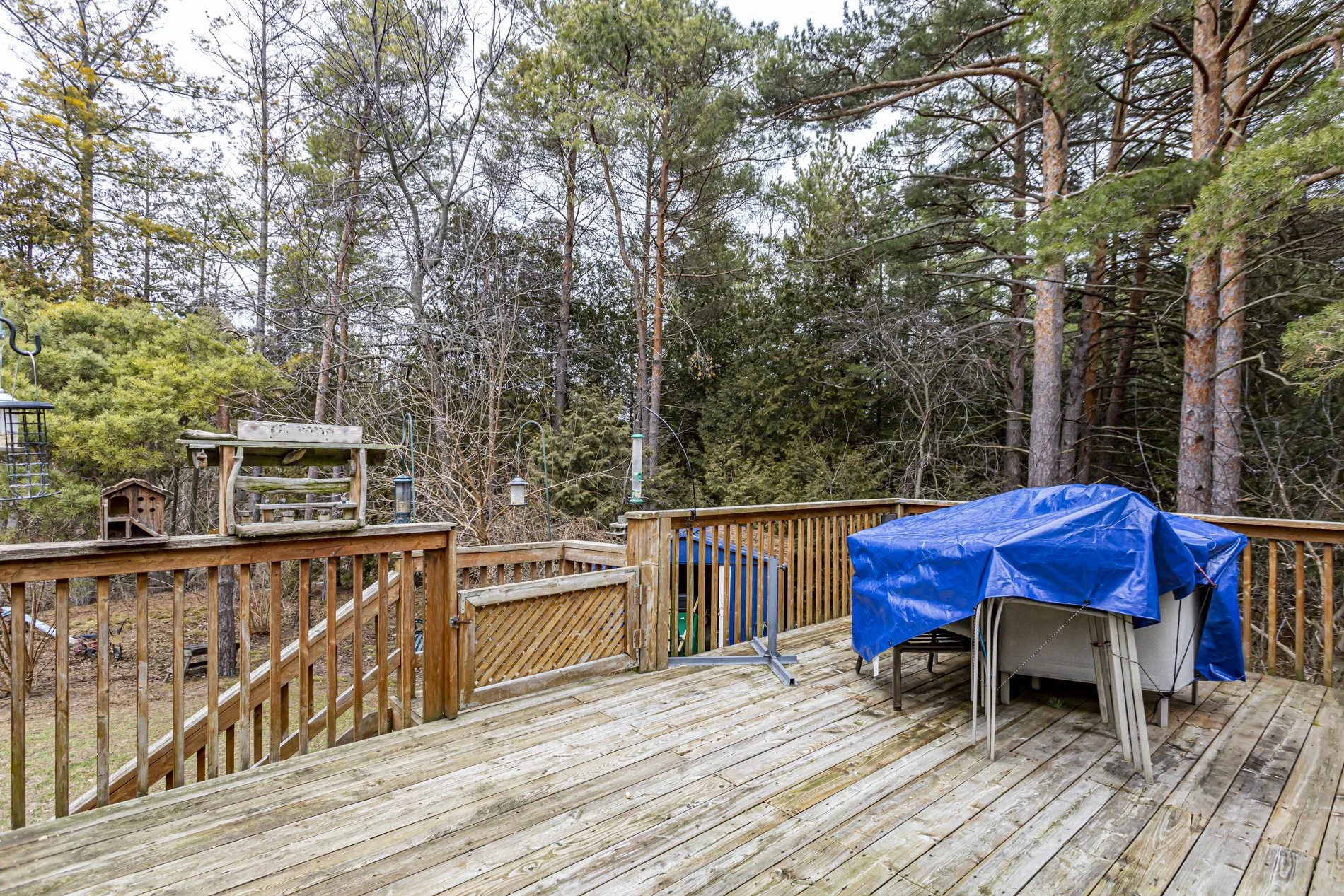 6420 Tanner Rd_31.jpg
