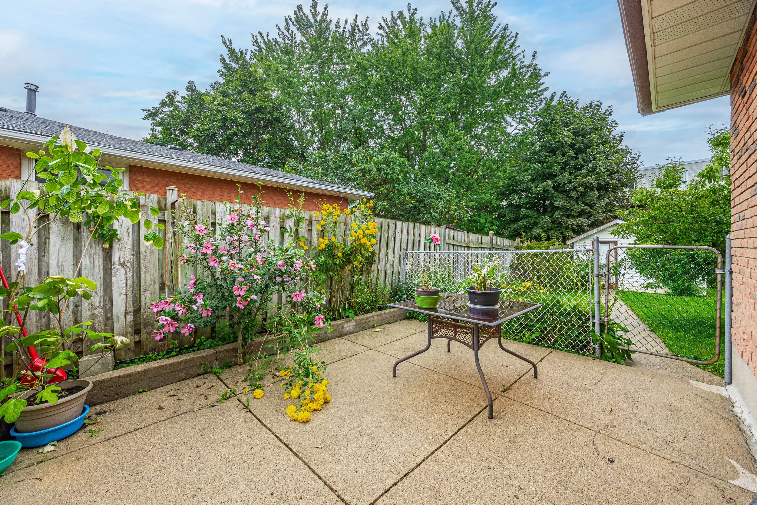 25 Noel Ave -39.jpg